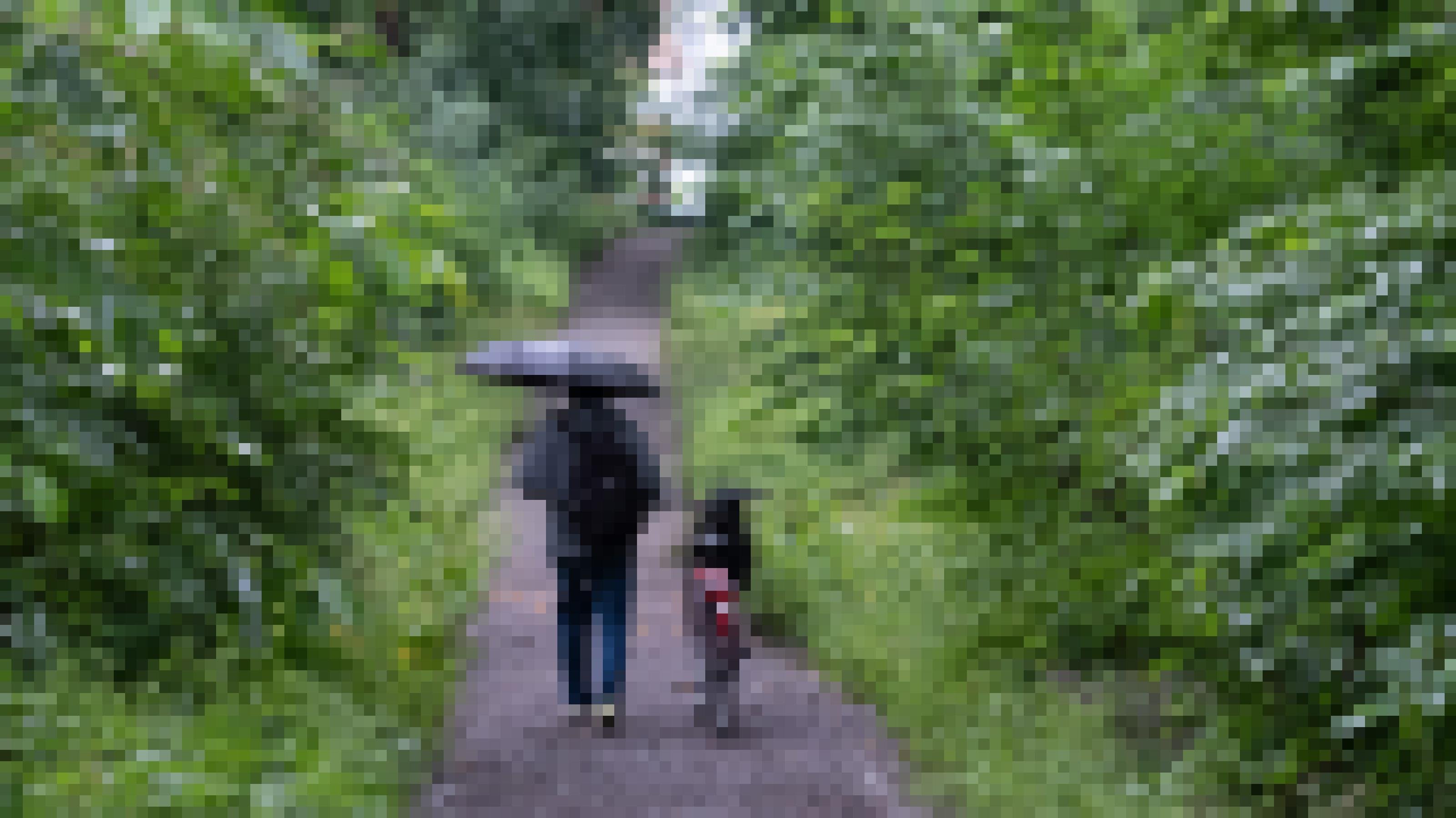 Ein Mann läuft bei anhaltendem Regen im Wald mit einem Regenschirm.