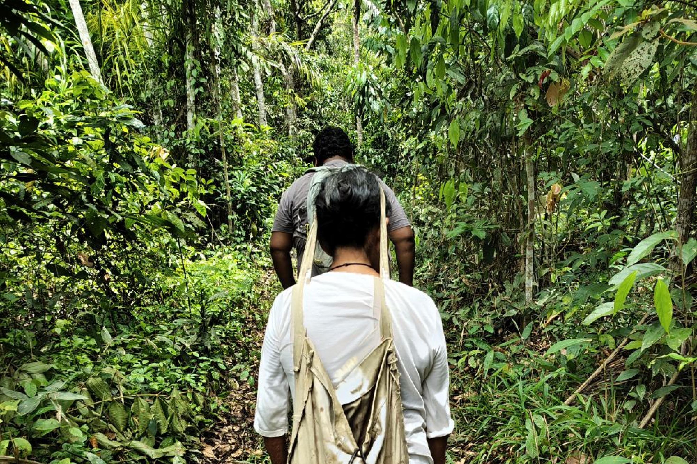 Pfad im Regenwald. Darauf zwei Menschen, deren Rücken man sieht. Vorne ein Mann, dahinter die Rückansicht einer kleineren schmalen Frau in Gummistiefeln, die über der Stirn eine Tasche hängen hat.