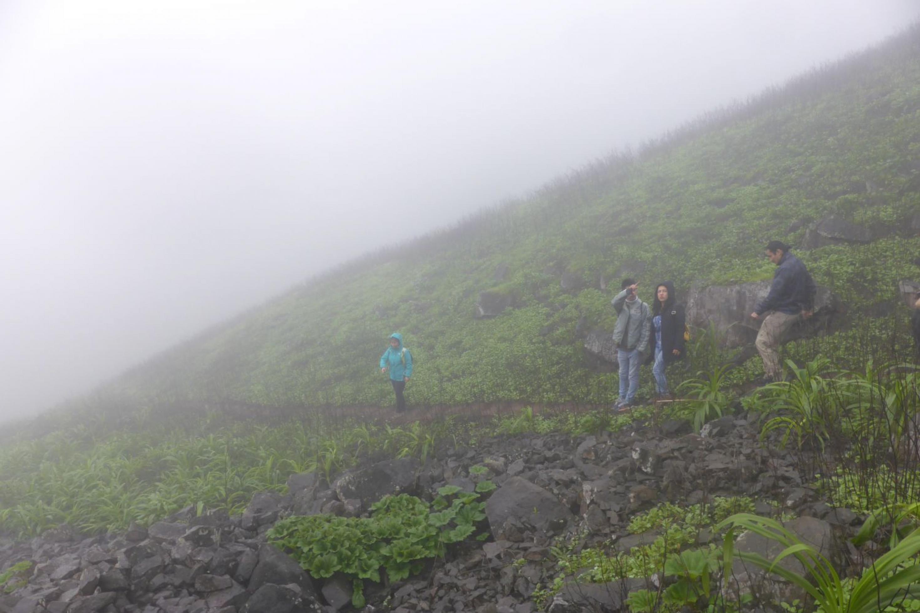 Neblige Landschaft, grüner Hang, mit vier Wanderern.
