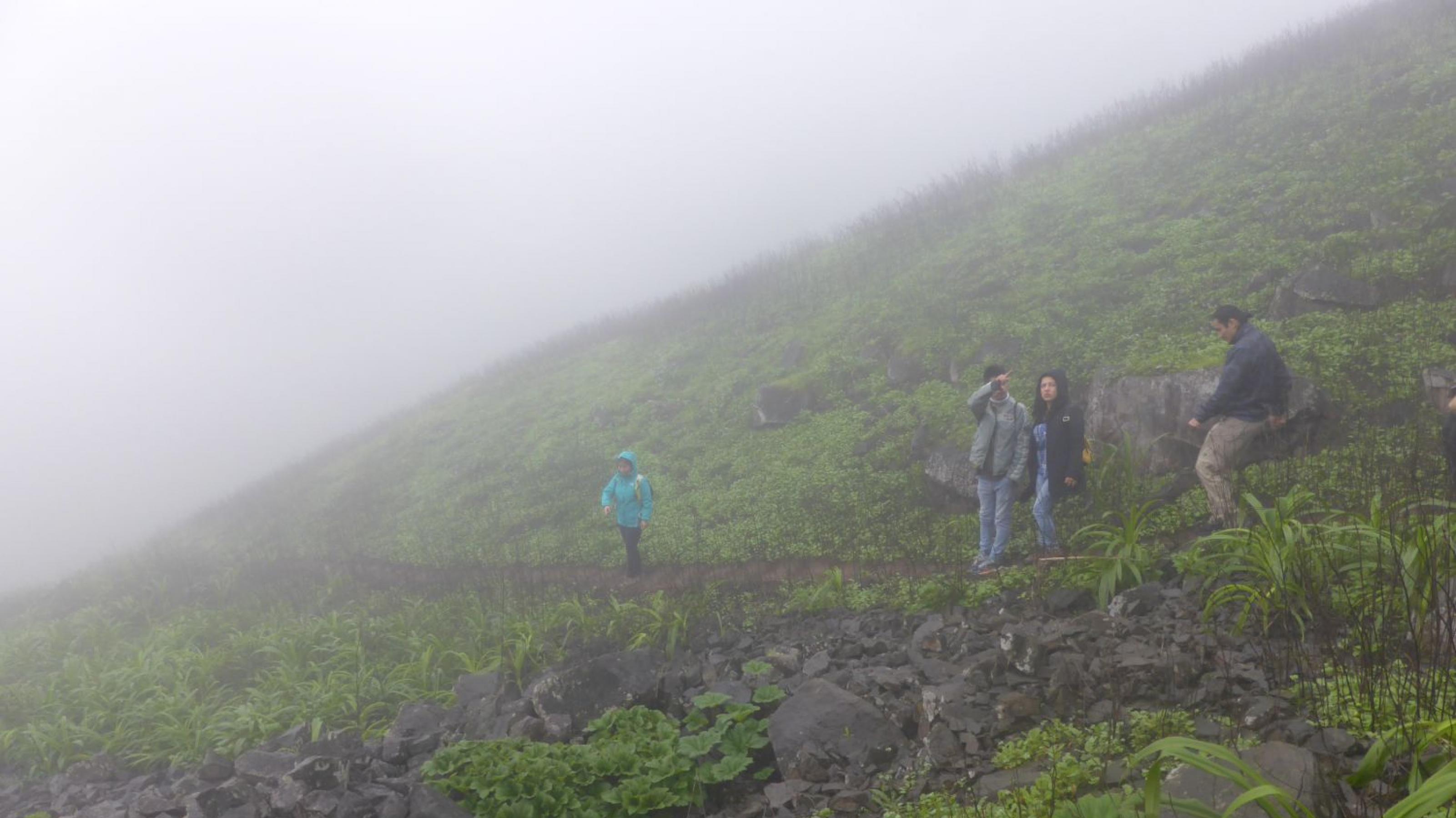 Neblige Landschaft, grüner Hang, mit vier Wanderern.