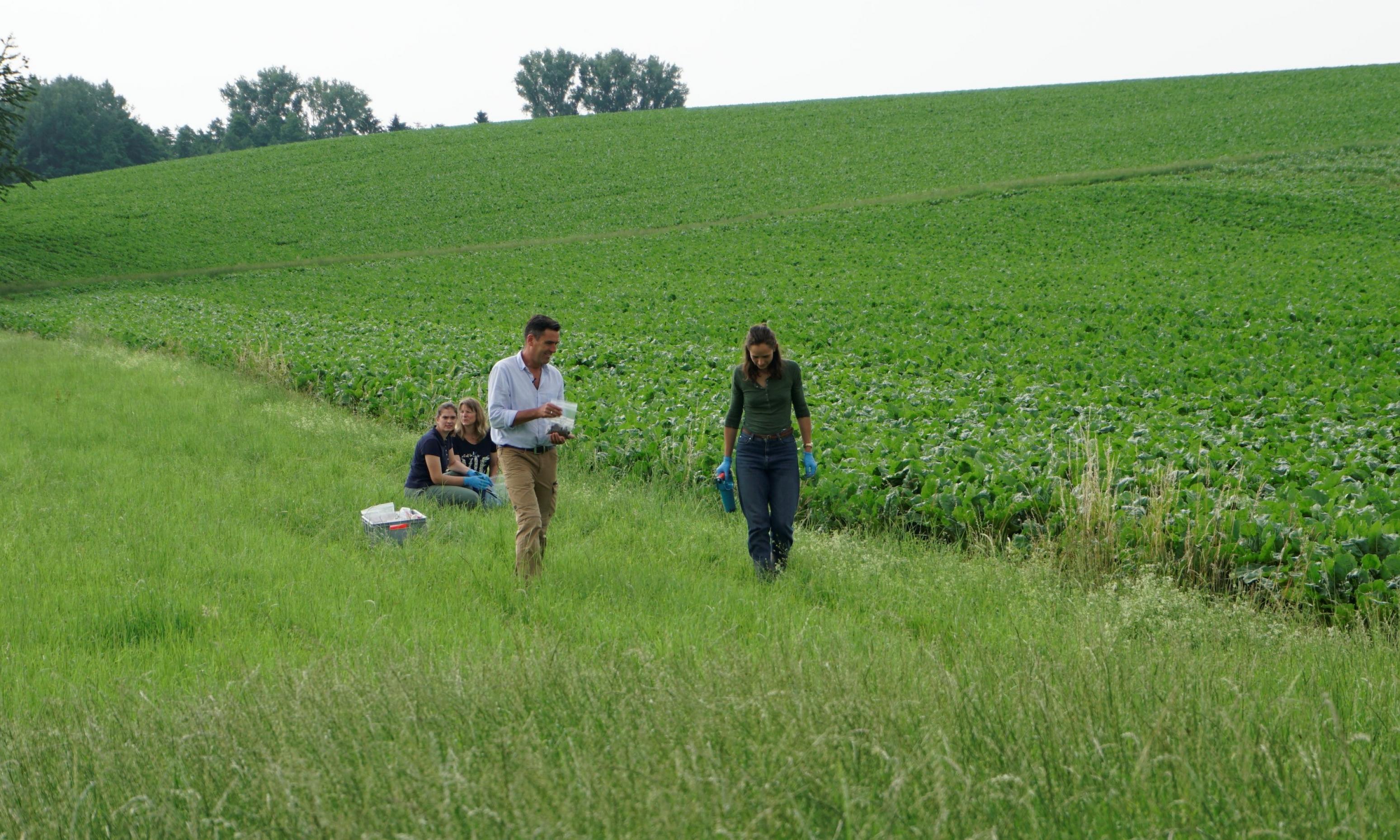 Brühl und Mitarbeiterinnen auf einer Wiese am Rand eines Felds.
