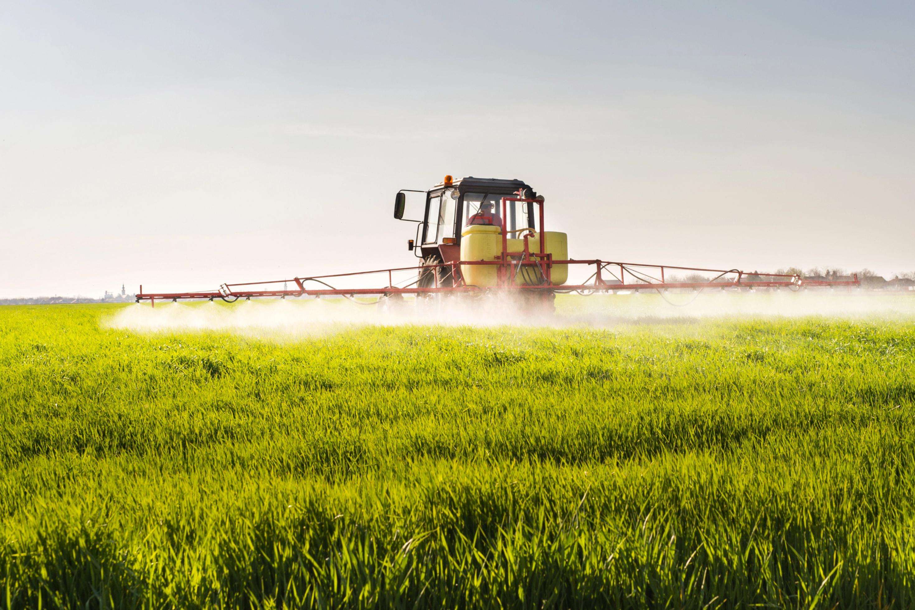 Totale: Traktor, der Pestizide auf einem Weizenfeld versprüht.