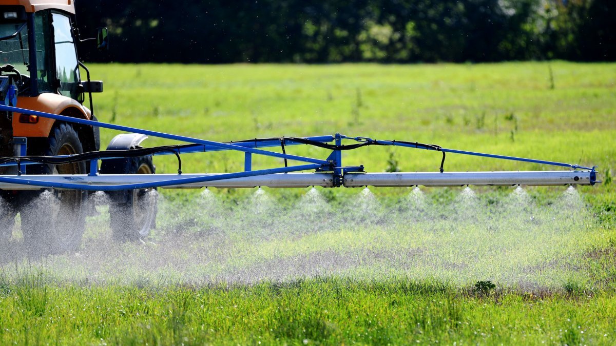 Bayer AG „zuversichtlich“, dass Herbizid Glyphosat zugelassen bleibt