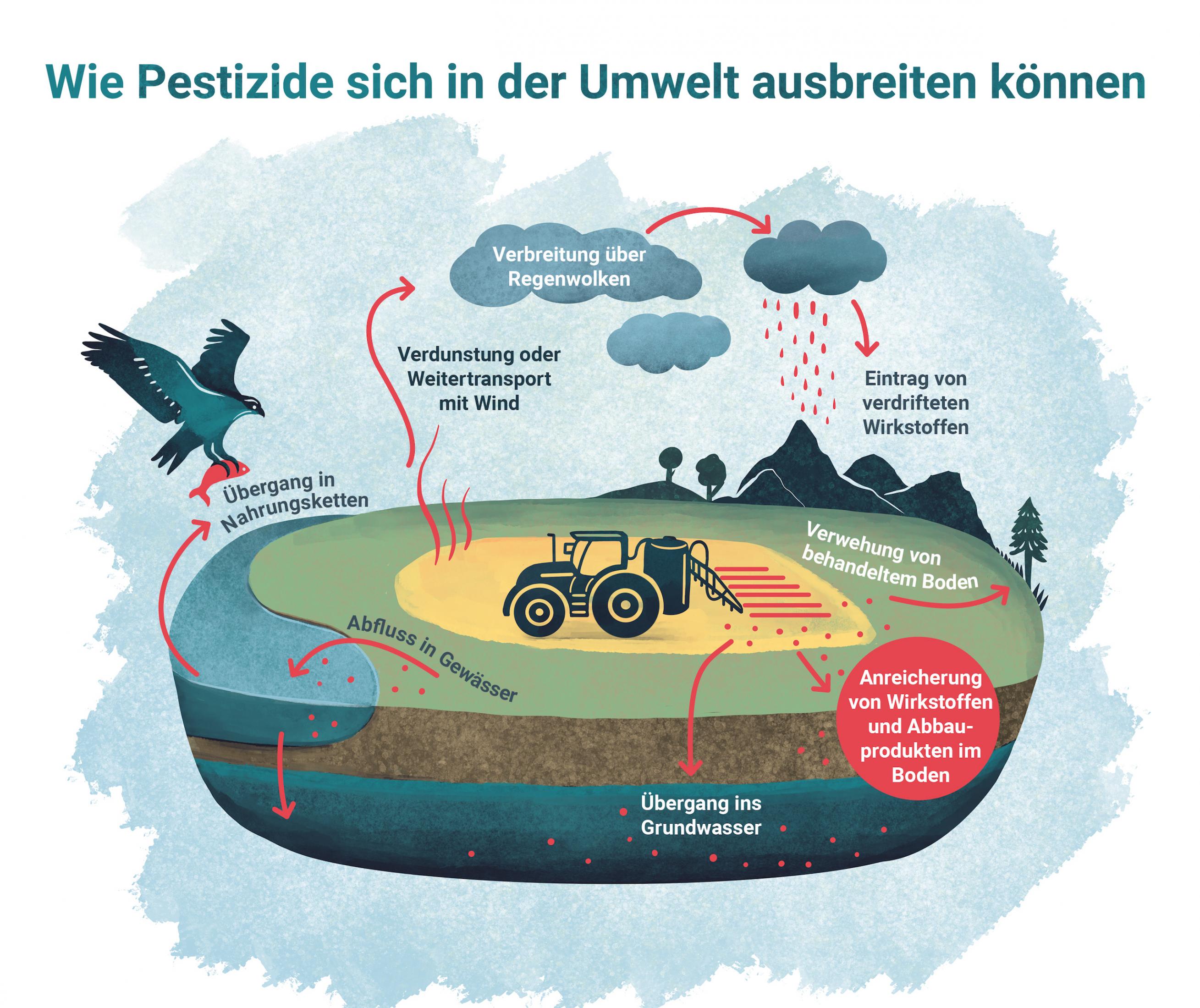 Graphik zeigt Ausbreitungswege von Pestiziden vom Acker ins Boden, Wasser, Luft und Organismen.