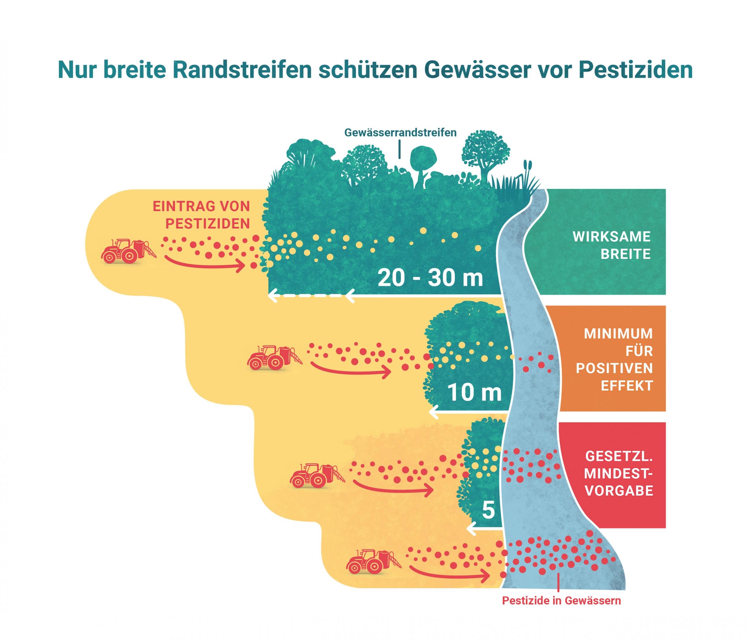 Graphik vergleicht Eintrag von Pestiziden in Gewässer bei Null Randstreifen, 5, 10 und 20 bis 30 Meter Breite. Je breiter der Randstreifen, desto geringer der Eintrag.