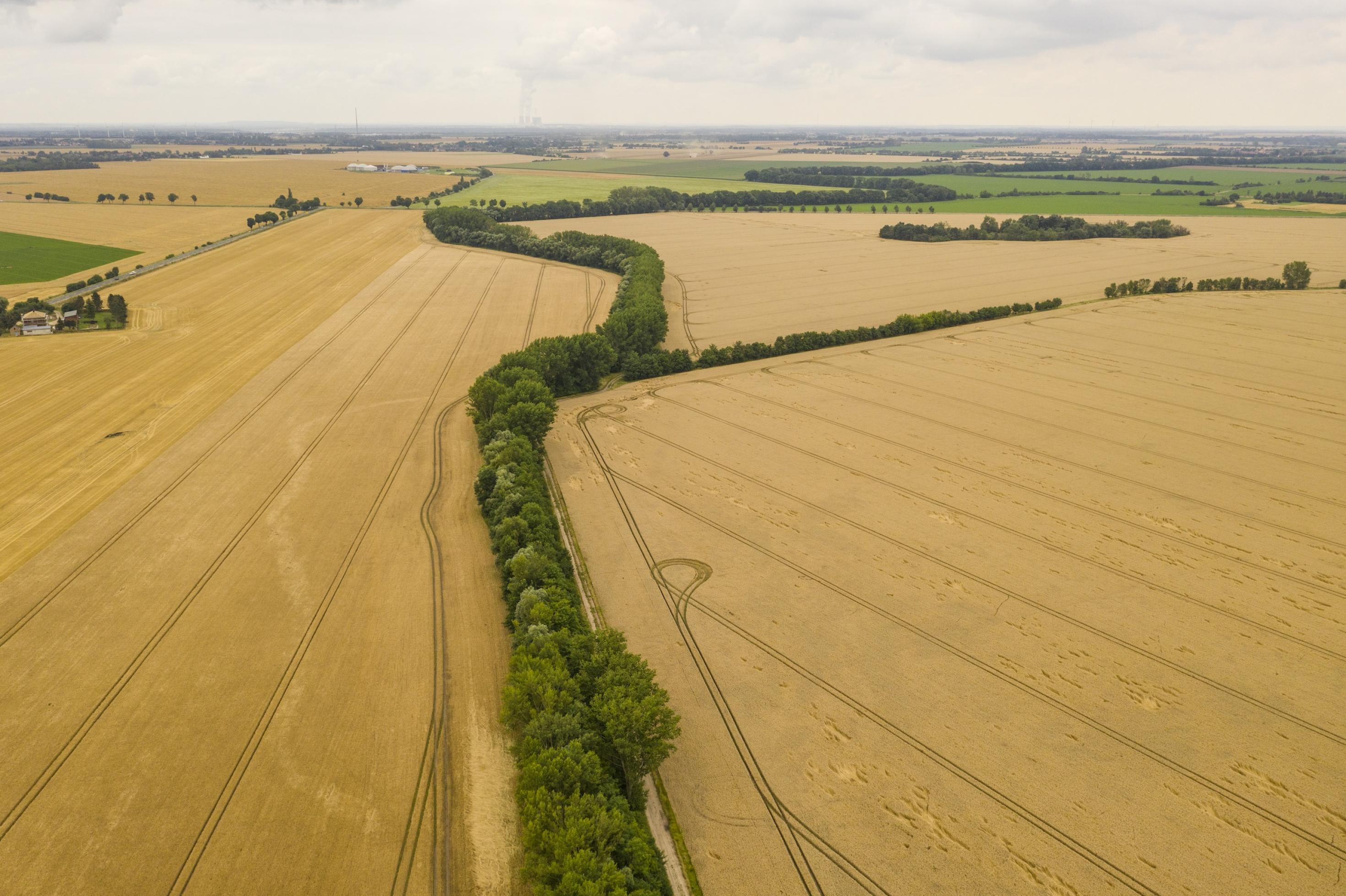 Eine weitläufige flache Agrarlandschaft mit vielen abgeernteten Feldern, in der Mitte ein dünnes grünes Band mit einem kleinen Fließgewässer.