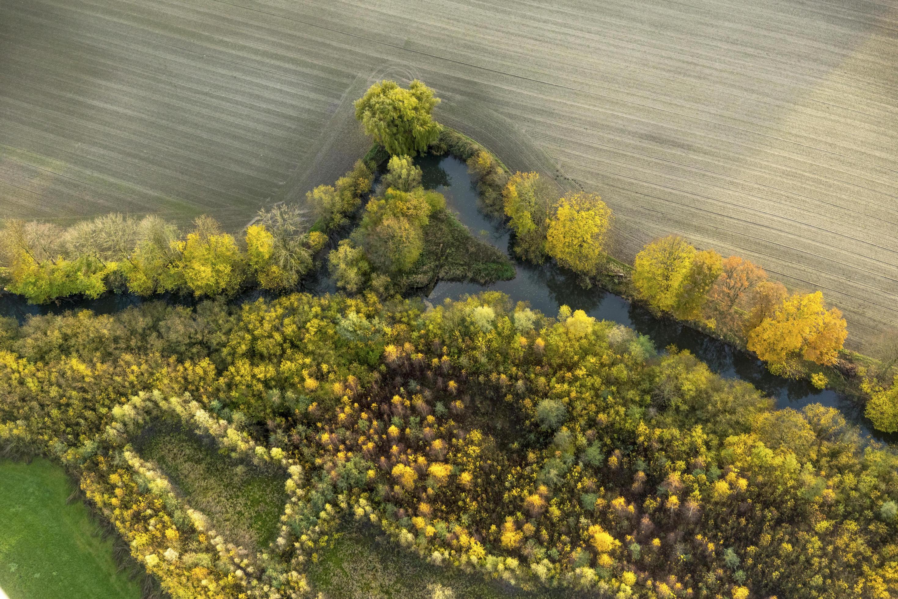 Luftaufnahme zeigt Flusslauf, an dem auf der unteren Seite Vegetation in herbstlichen Farben leuchtet. An der Oberseite gibt es keinen Abstand zum Acker.