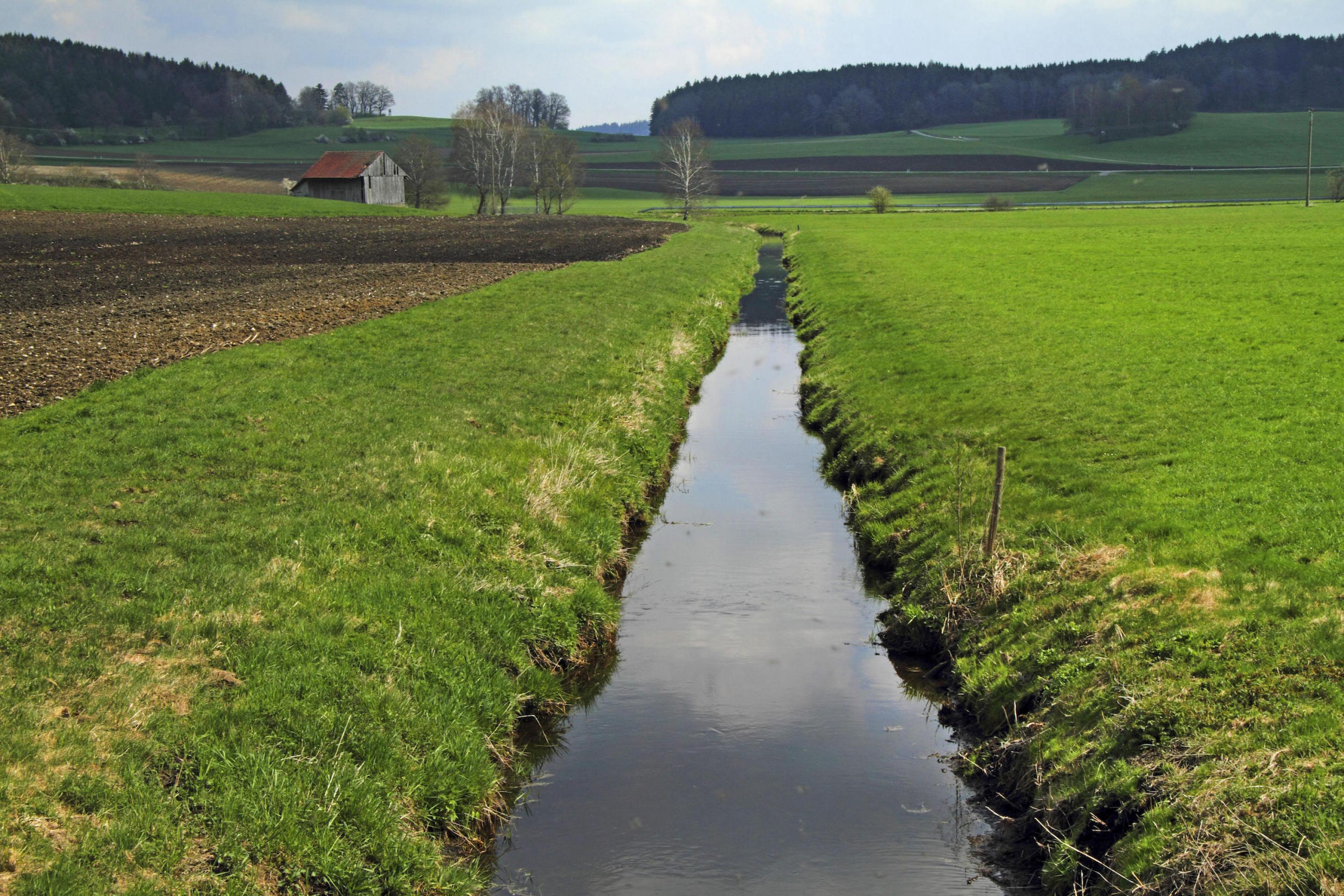 Begradigter Bach in Landschaft mit Wiese und Acker.