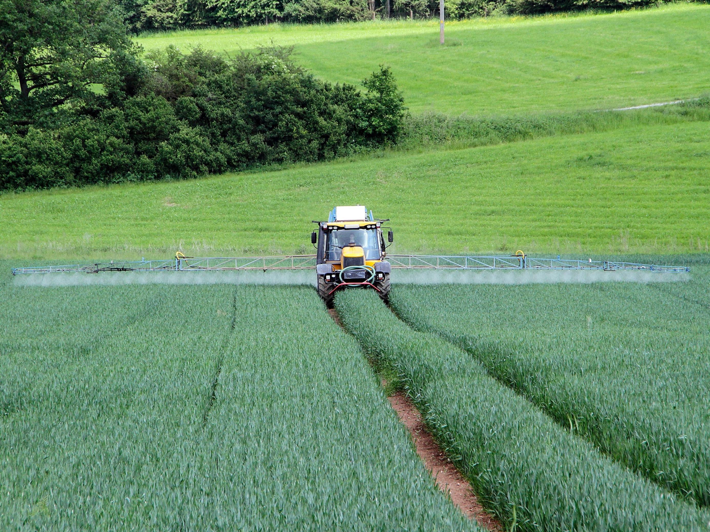 Ein Traktor sprüht auf einem Acker Pflanzenschutzmittel aus. Im Hintergrund eine Hecke und Waldrand.