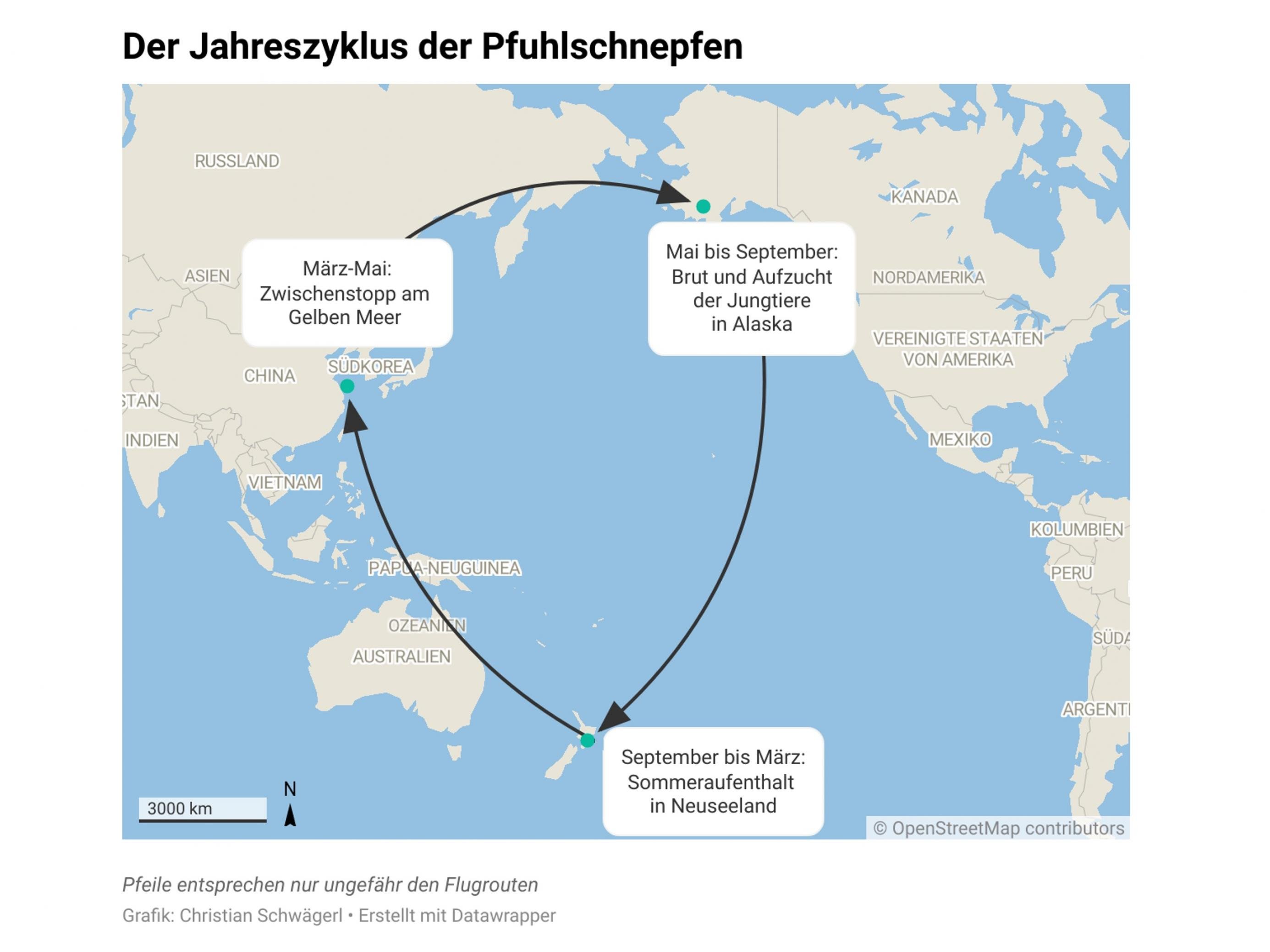 Landkarte, die Flugbewegung zwischen Alaska, Neuseeland und Gelbem Meer zeigt.