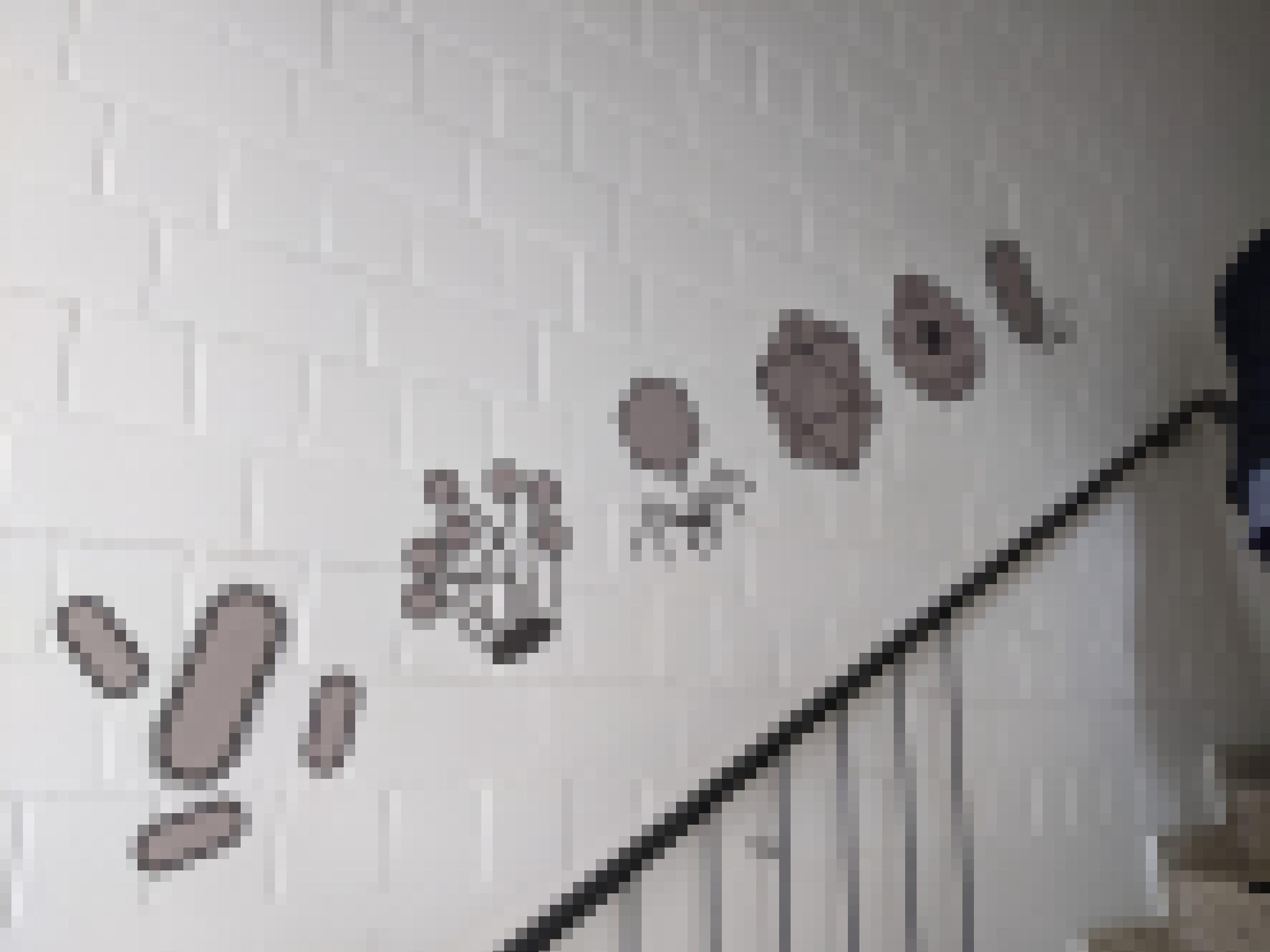 Auf einer weiß gestrichenen Backsteinwand sind in grau und schwarz stilisiert verschiedene Mikroorganismen aufgemalt, unter anderem eine Phage. Darunter ist ein Treppengelände zu sehen.