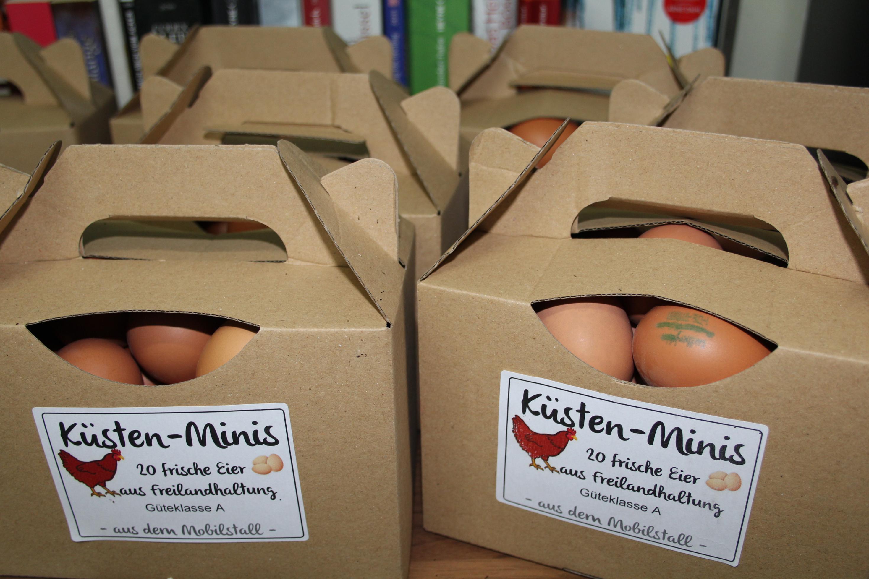 Eierkartons mit Henkel, beschriftet mit „Küsten-Minis: 20 frische Eier aus Freilandhaltung“