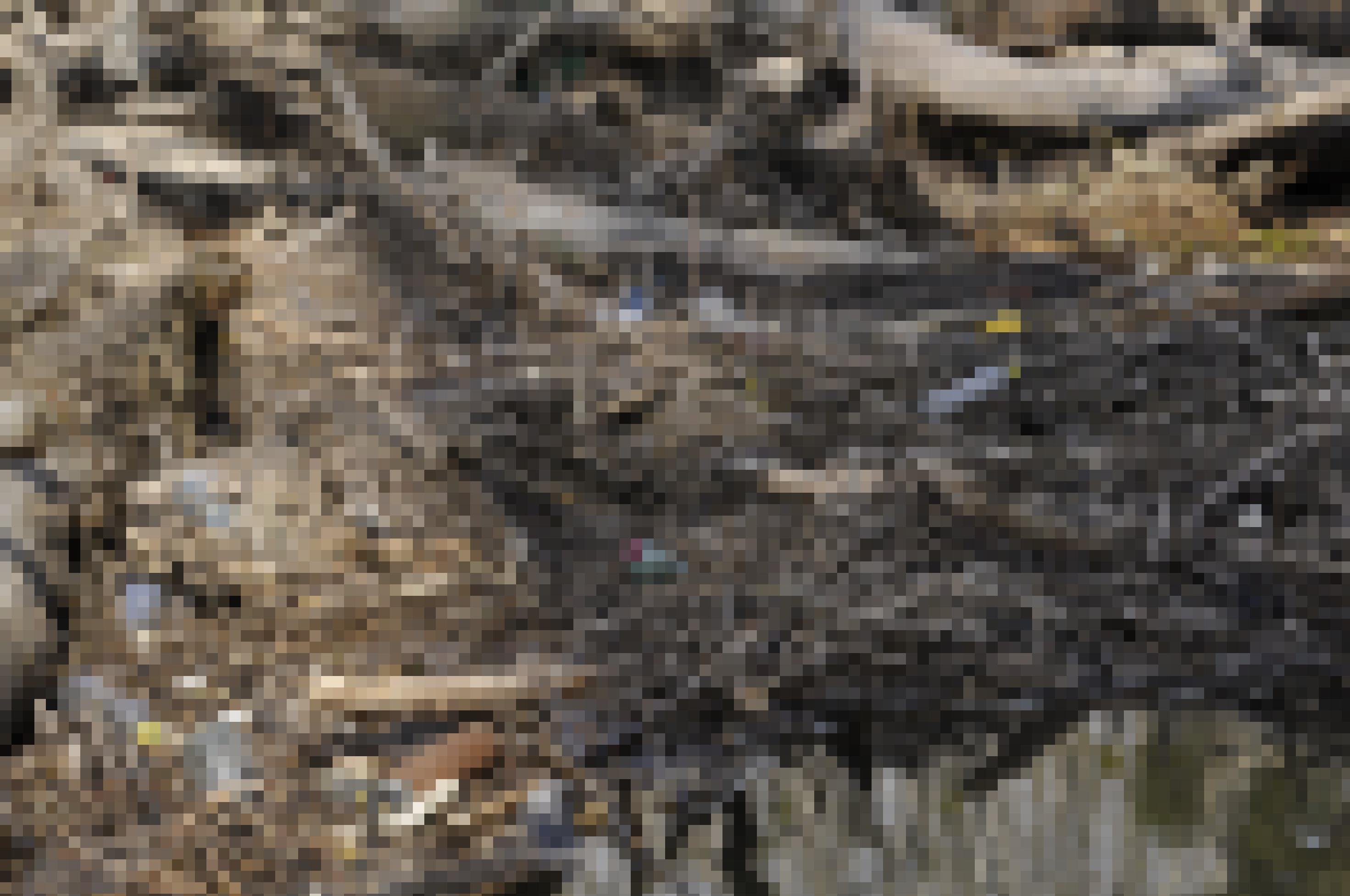 Angeschwemmtes Totholz mit Plastikabfällen dazwischen liegt an einer Wasserstelle in der Au