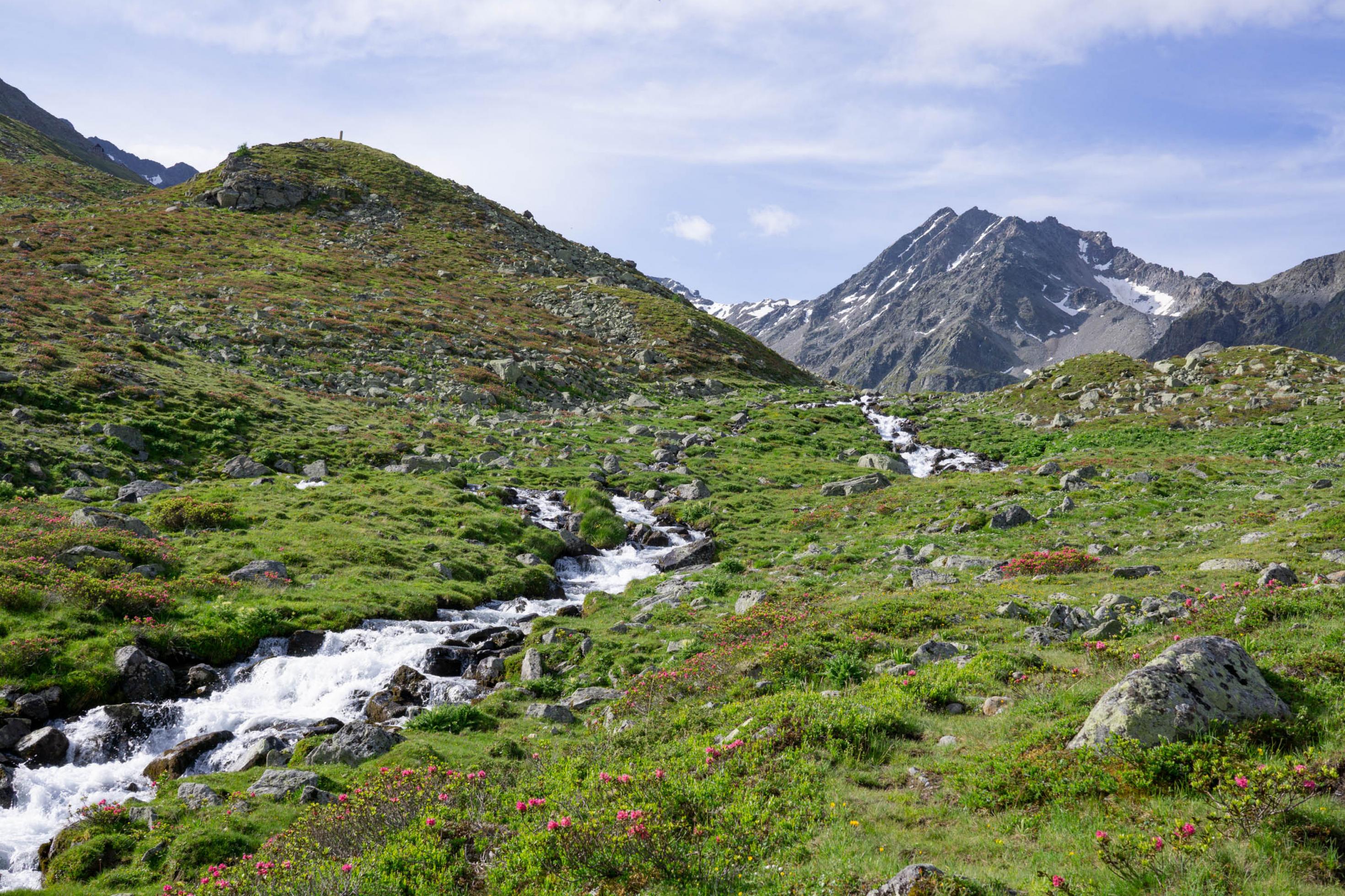 Alpines Tal mit Bach, Berge