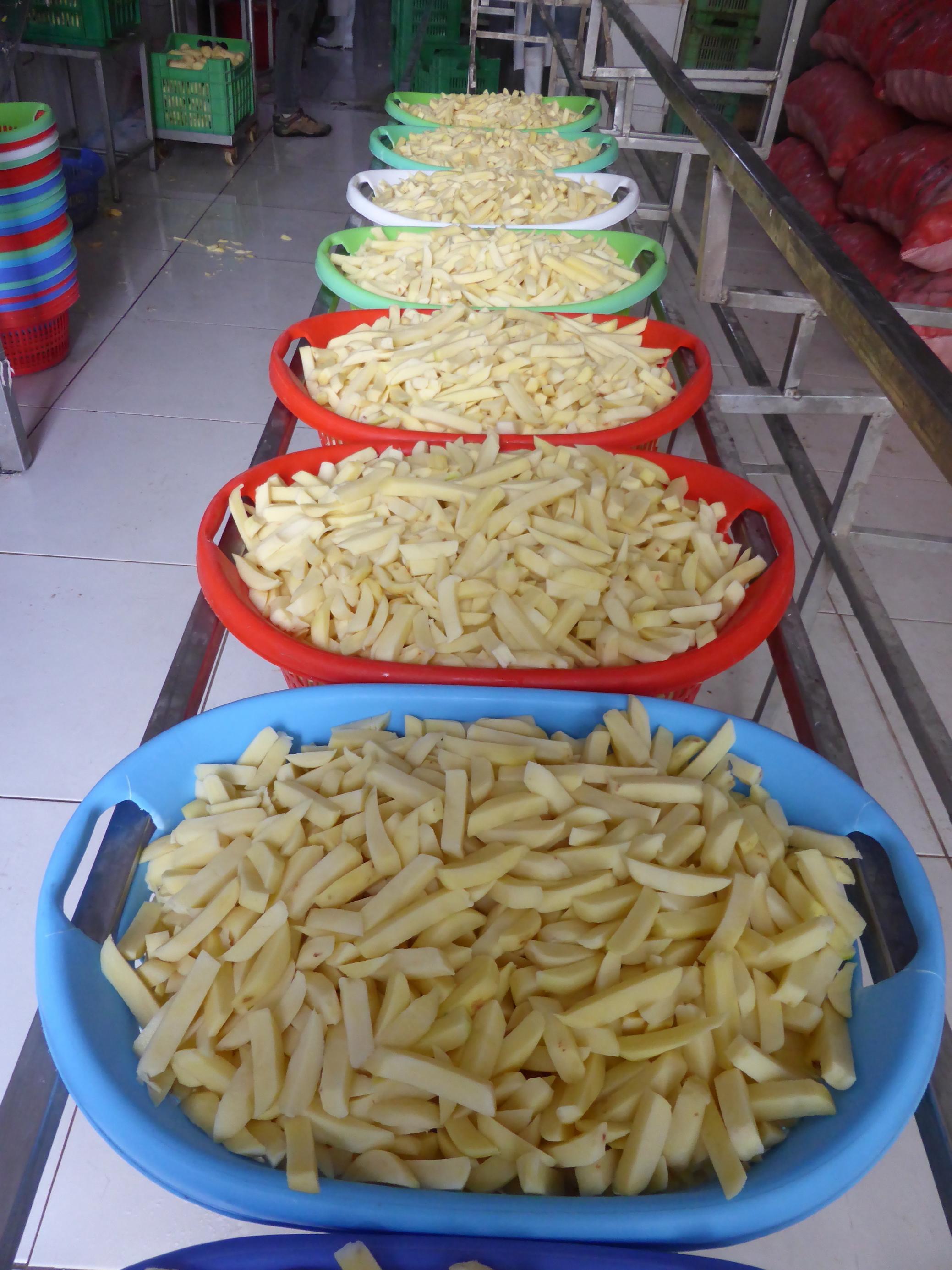 Sieben bunte Plastikkörbe voller Pommes, die wie Wäschekörbe aussehen, in einer gefliesten Halle. Dei Körbe sind auf Metallschienen gestellt, beziehungsweise so mit rechts und links mit dem Plastikrand hineingefädelt, dass man sie darauf einfach schieben kann.