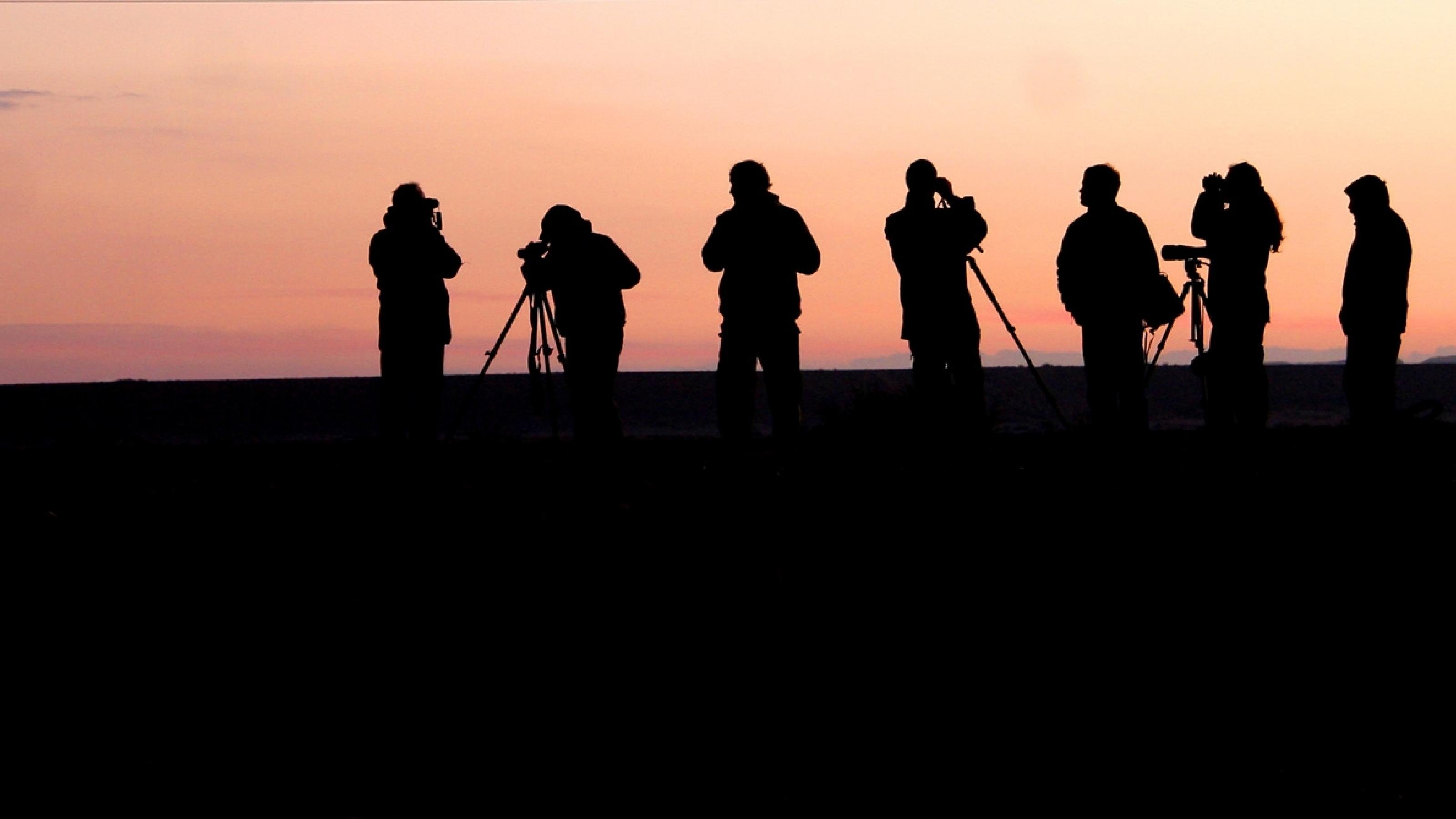 Eine Gruppe Vogelbeobachter im ersten Morgenlicht. Die Menschen sind nur als Silhouetten zu erkennen.