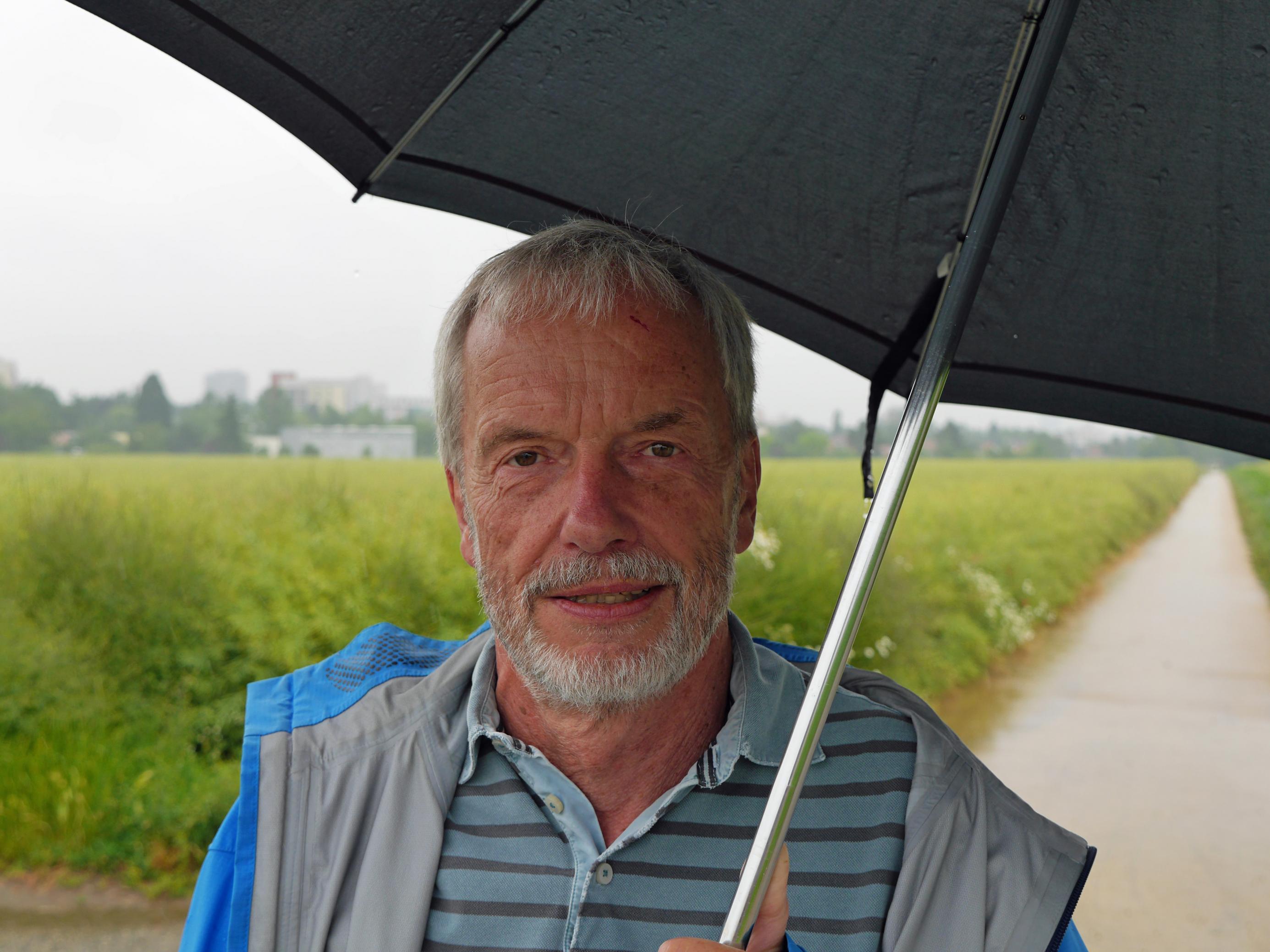 Mann mit Regenschirm vor grünem Feld