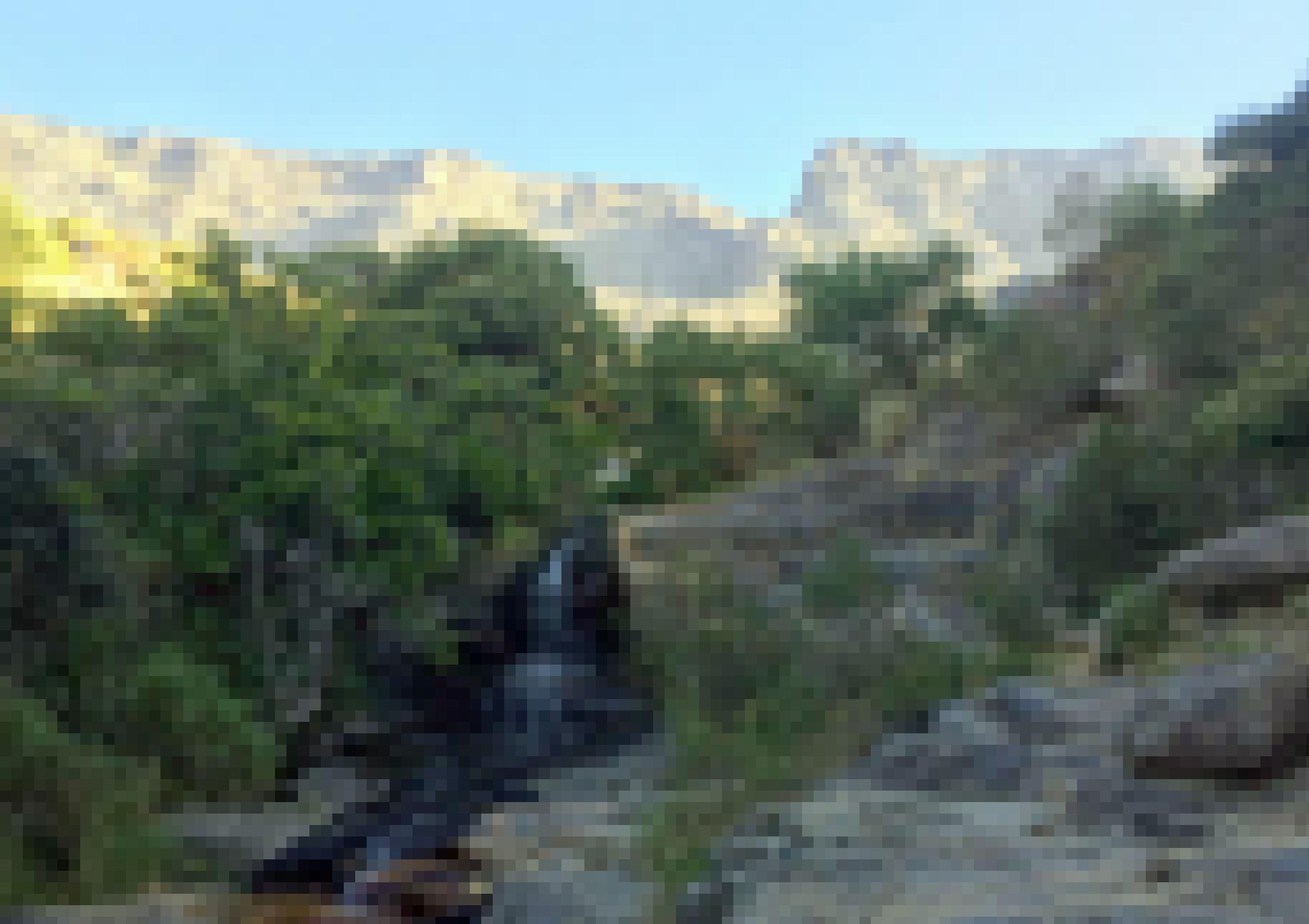 Im Hintergrund ragt das Tafelberg-Massiv in den blauen Himmel, Quellwasser fließt durch einen Wald am Fuß des Bergs