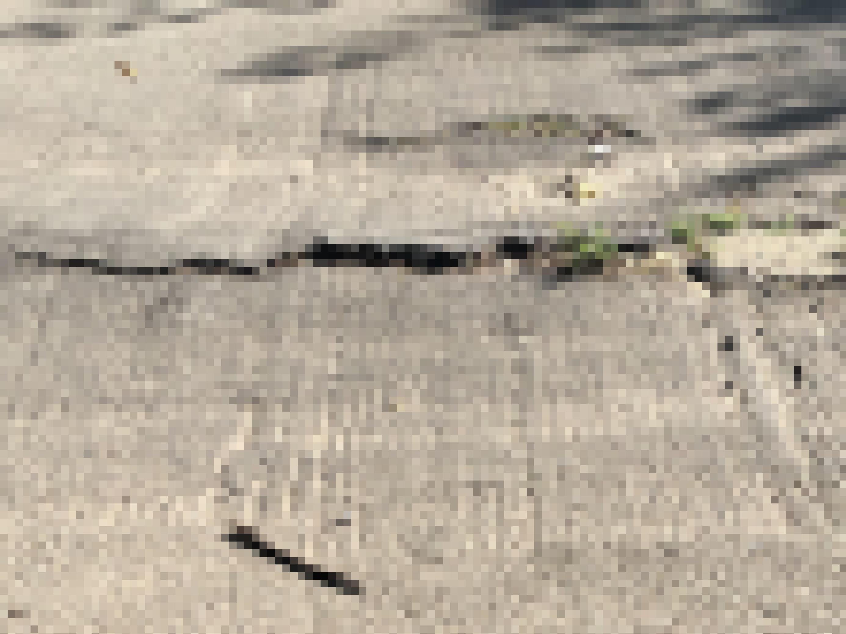 Ein Radweg ist wohl durch eine Wurzel aufgebrochen, ein Riss klafft quer über die Fahrbahn.