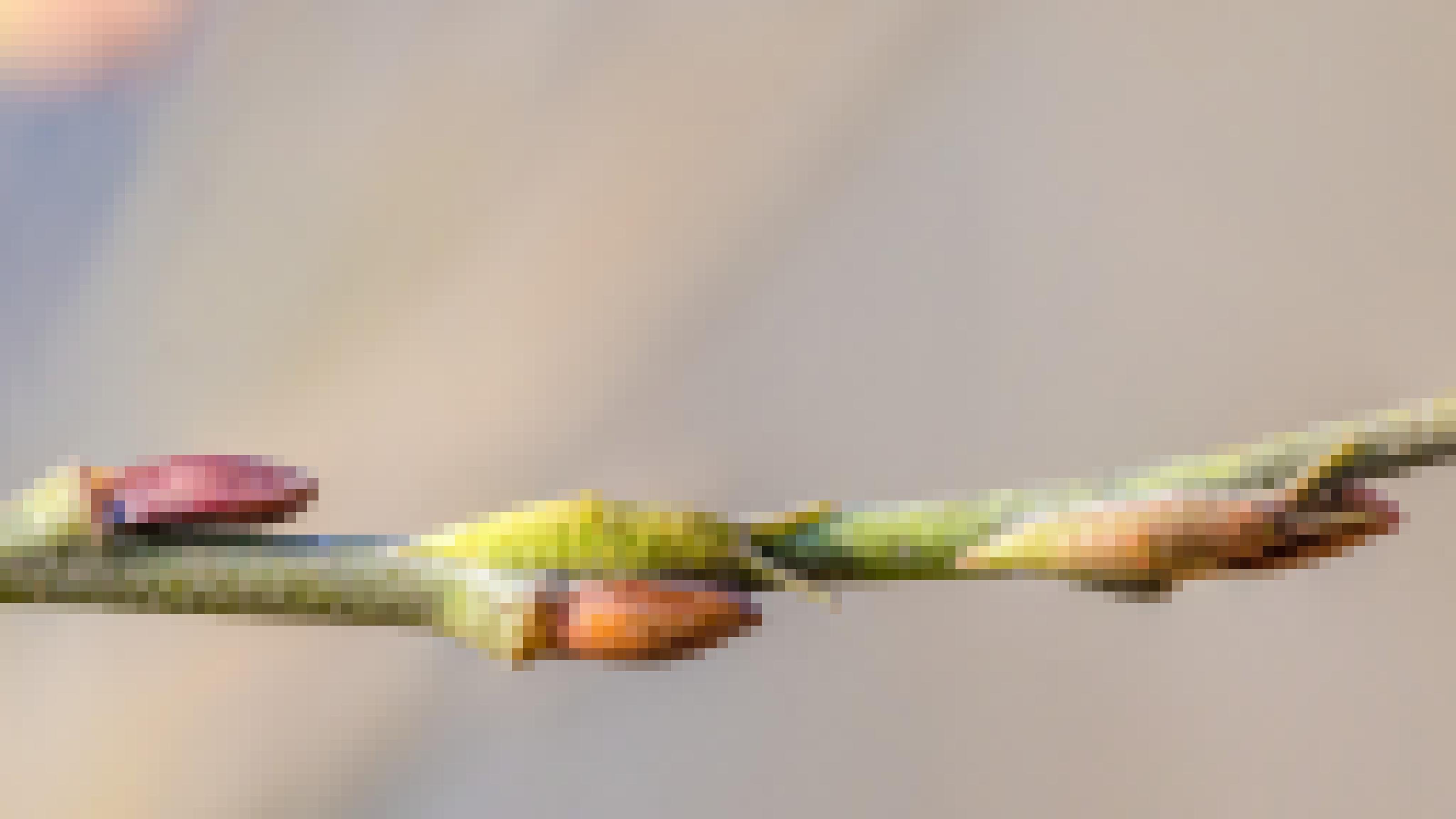 Ein grüner Zweig. Neben den braunroten Knospen kaum zu erkennen sind zwei Raupen, die wie kleine Nacktschnecken aussehen.