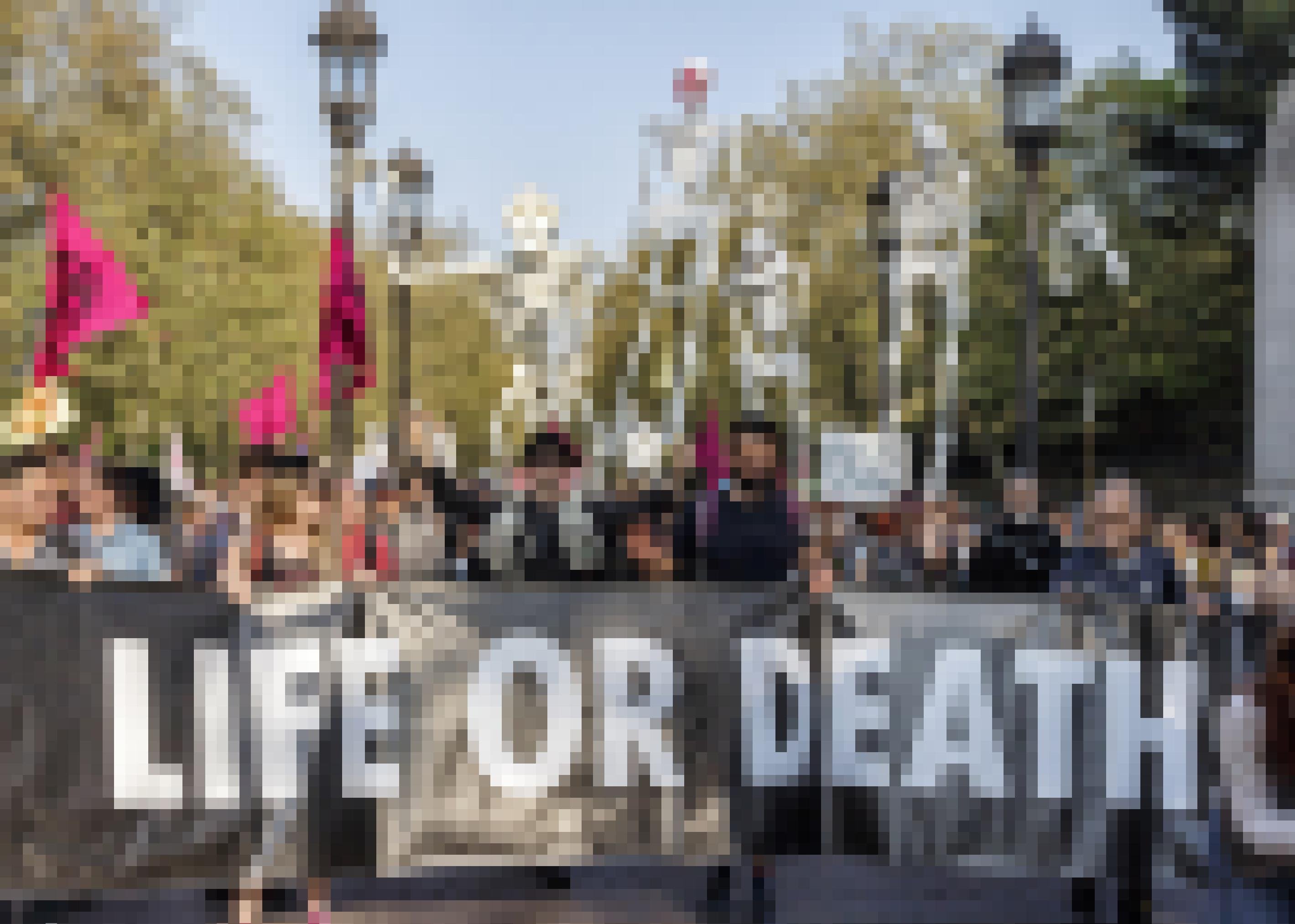 Eine XR-Gruppe protestiert gegen das massenhafte Artensterben. Das Plakat fragt: Leben oder Tod?