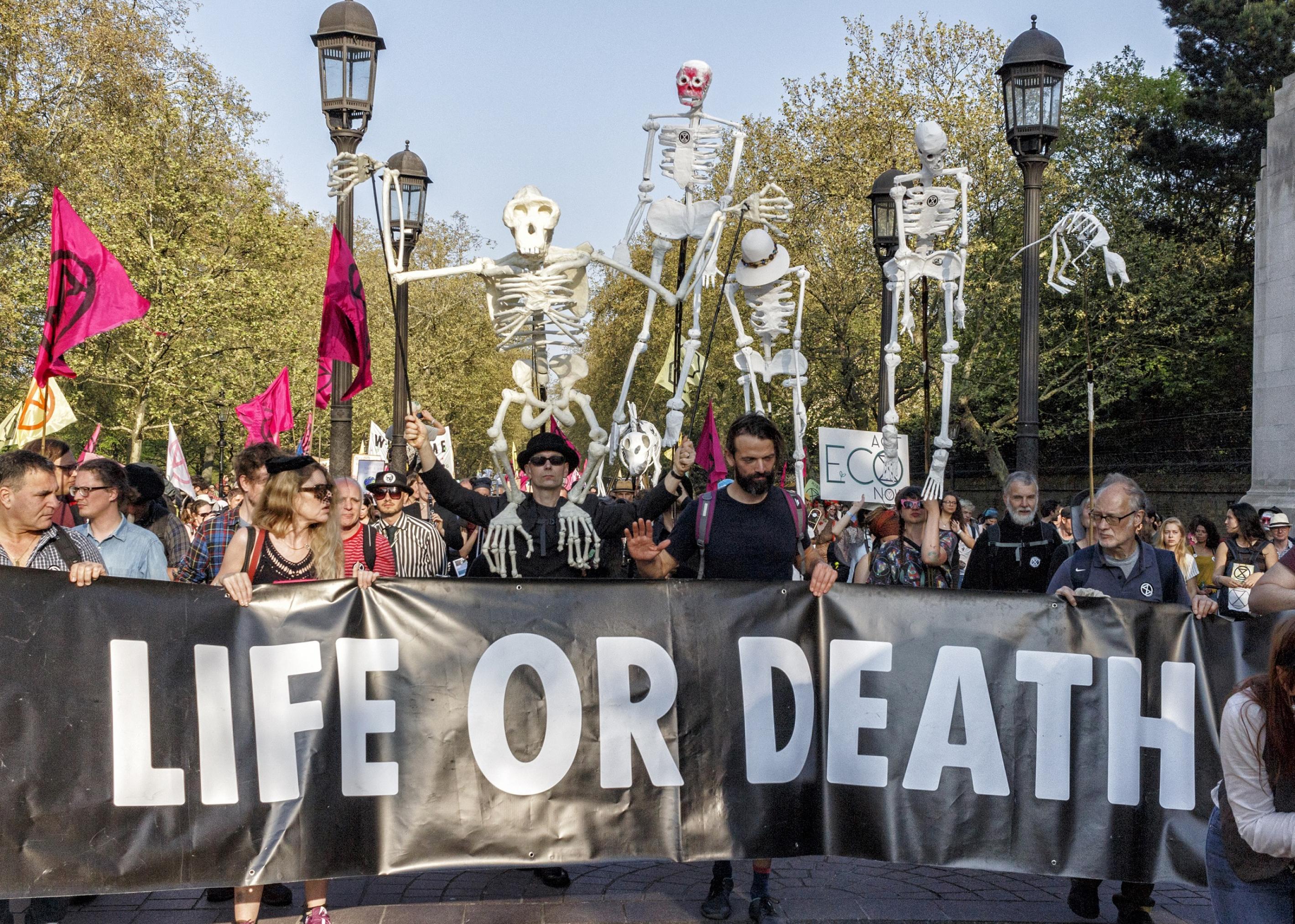 Eine XR-Gruppe protestiert gegen das massenhafte Artensterben.  Das Plakat fragt: Leben oder Tod?