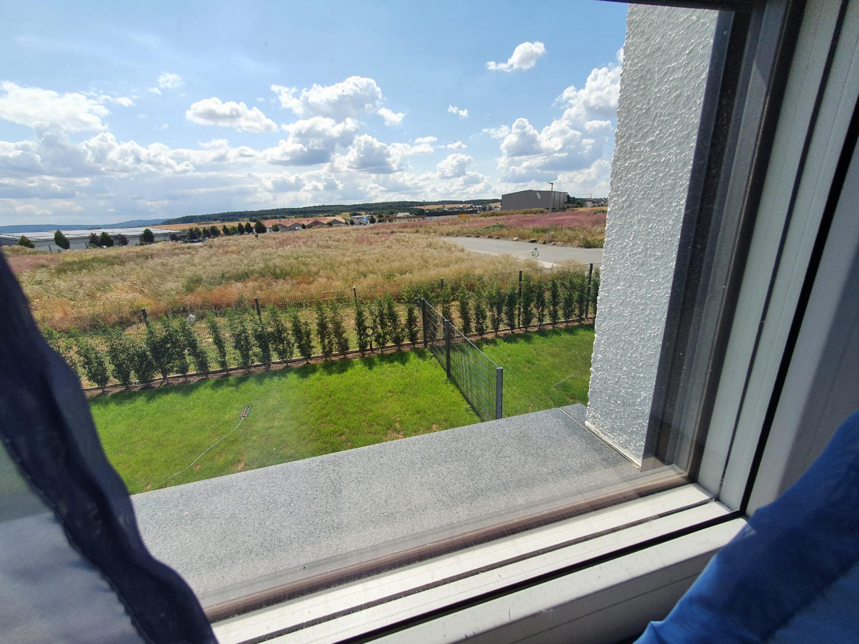 Blick aus dem Fenster von Steffen Lich auf seinen Garten mit kurzem Rasen und der angrenzenden wilden Brache vor ihrer Zerstörung.