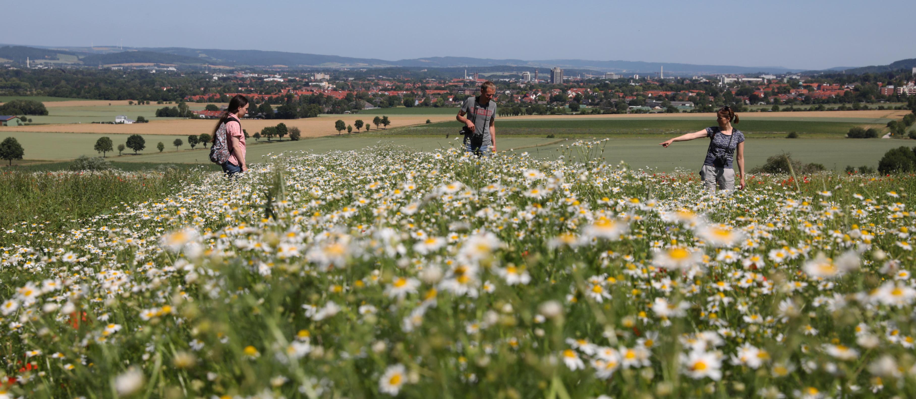 Die Projektmitarbeiterinnen und Mitarbeiter Amelie Laux (links), Eckhard Gottschalk und Lisa Dumpe stehen im Projektgebiet Diemaden vor den Toren Göttingens inmitten einer blühenden Wiese. Im Hintergrund sieht man die Gebäude der Stadt.