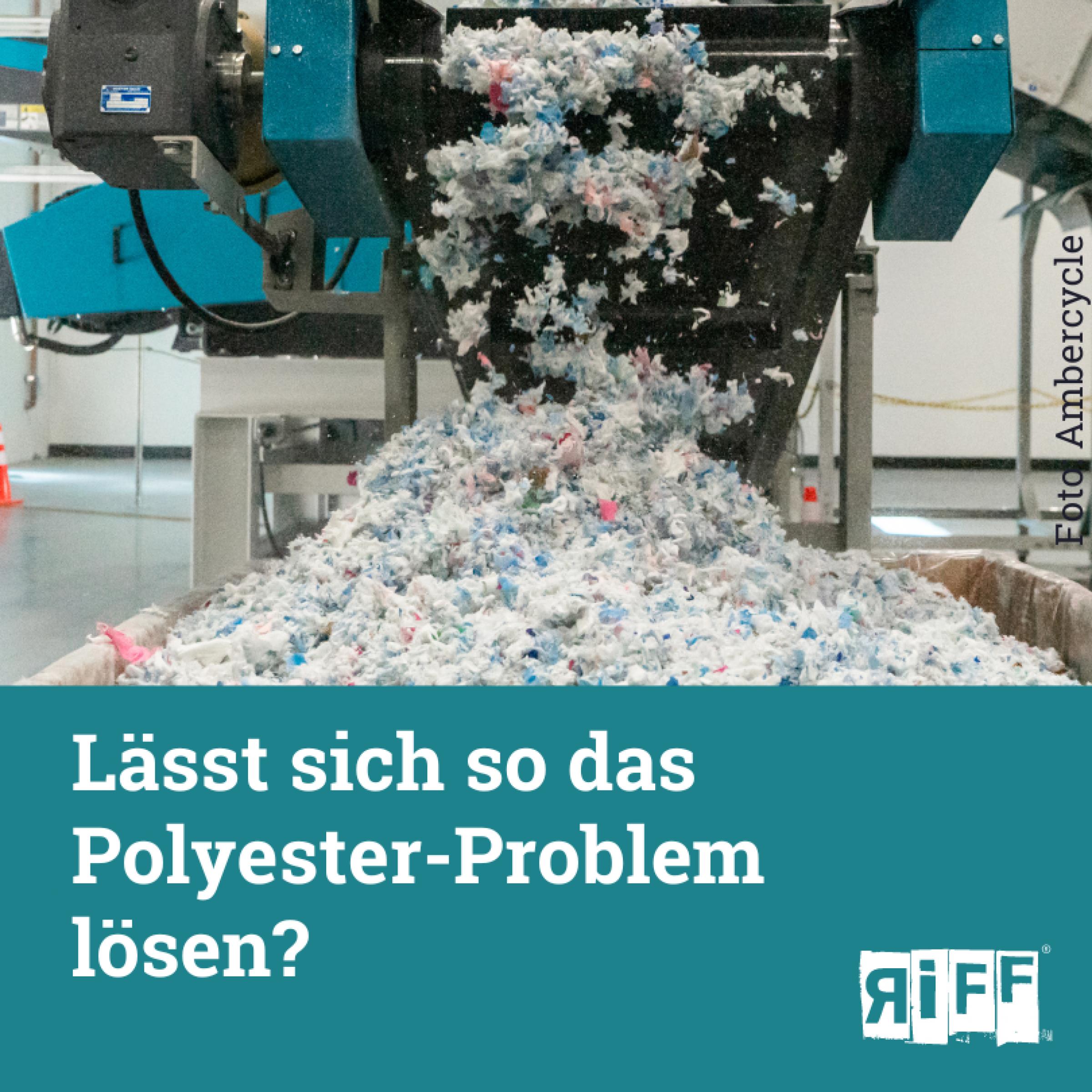 Lässt sich so das Polyester-Problem lösen?