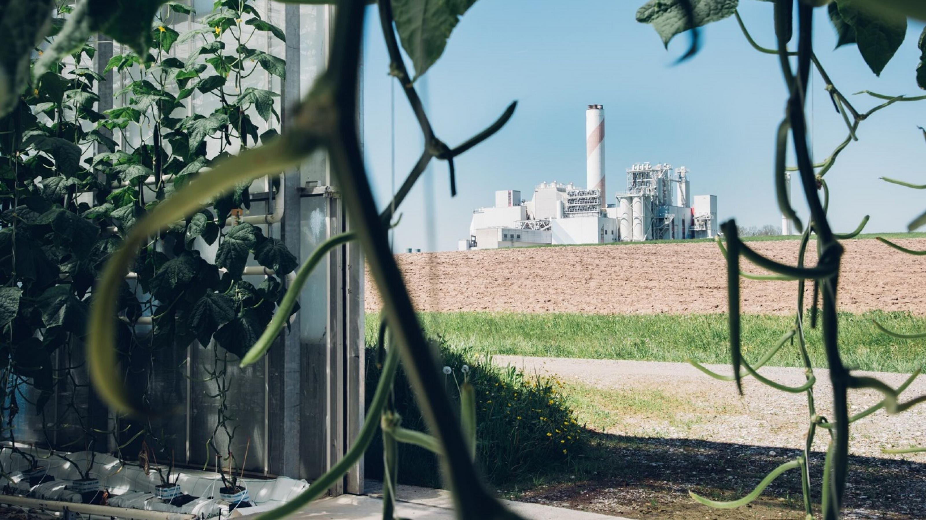 Climeworks baute und betreibt die weltweit erste kommerzielle Direktabscheideanlage, die 900 Tonnen CO2 pro Jahr aus der Umgebungsluft entfernt. Das hochreine CO2 wird an ein Nachbargewächshaus geliefert, wodurch das Wachstum von Gemüse und Salat um bis zu 20 Prozent gesteigert wird.