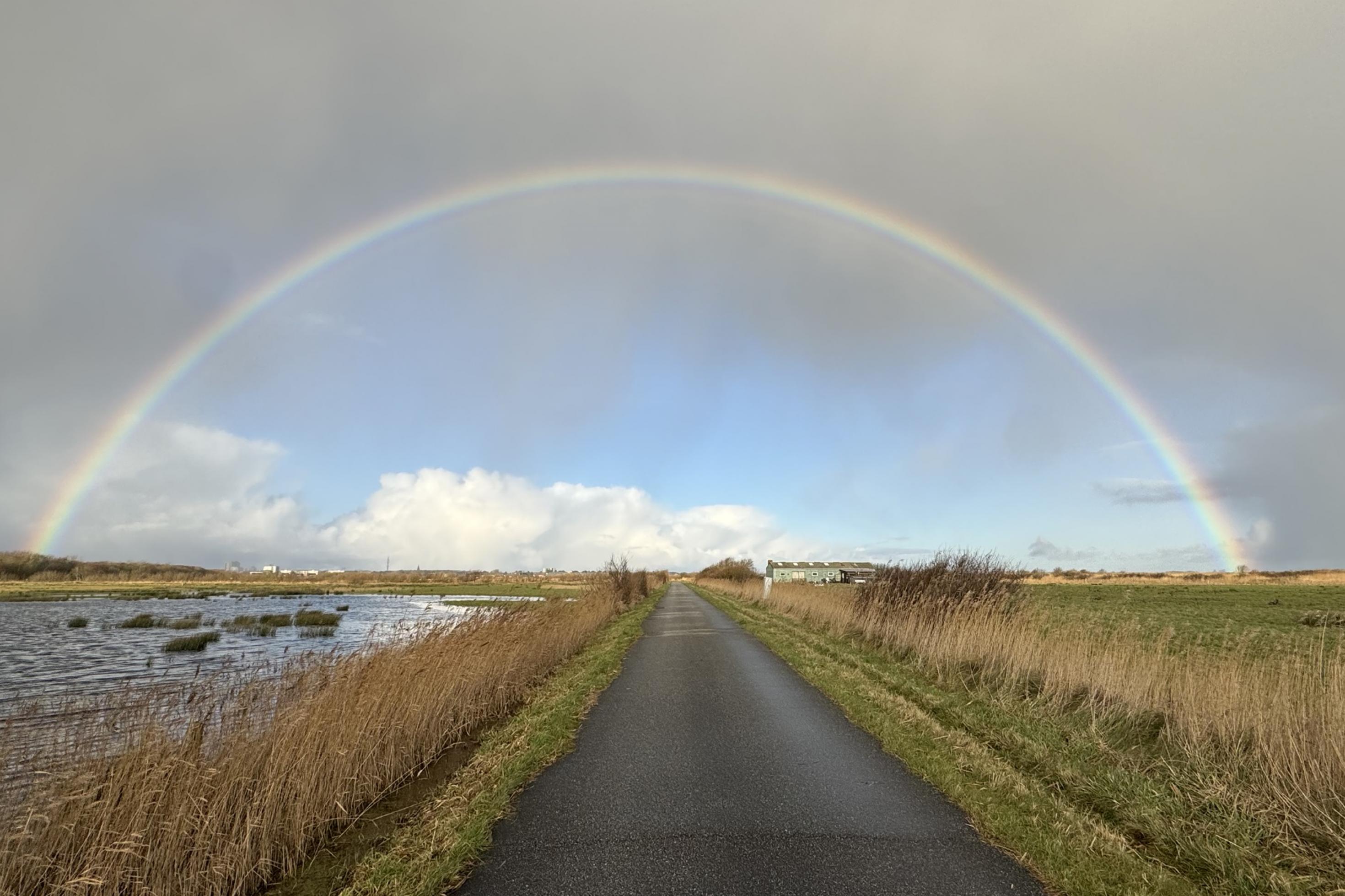 Im Zentrum verläuft ein gerader asphaltierter Weg, darüber ein Stück blauer Himmel, das von einem intensiven Regenbogen umrahmt wird. Außerhalb des Bogens ist der Himmel von grauen Wolken bedeckt.