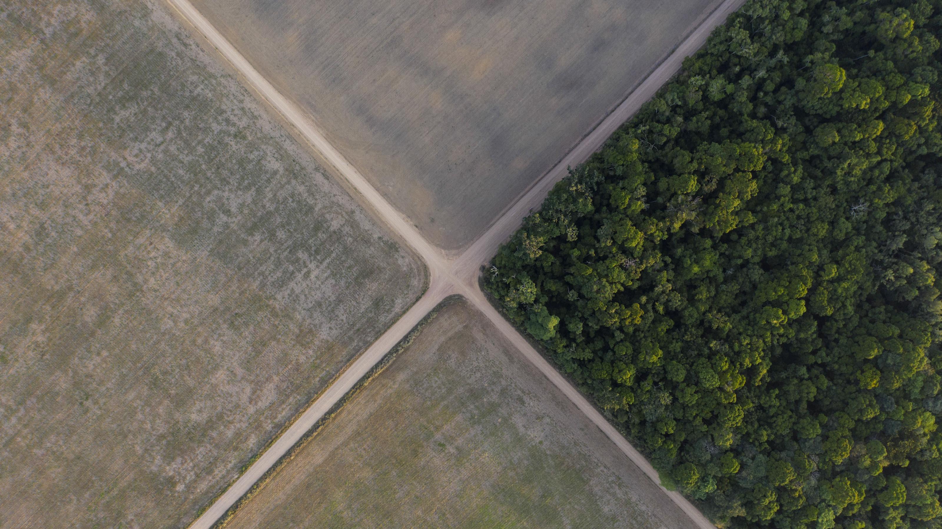 Luftbild einer von Straßen zerschnittenen Agrarlandschaft. Von vier Quadranten sind drei mit baren Sojafeldern, nur in einem ist der verbleibende Regenwald zu sehen.