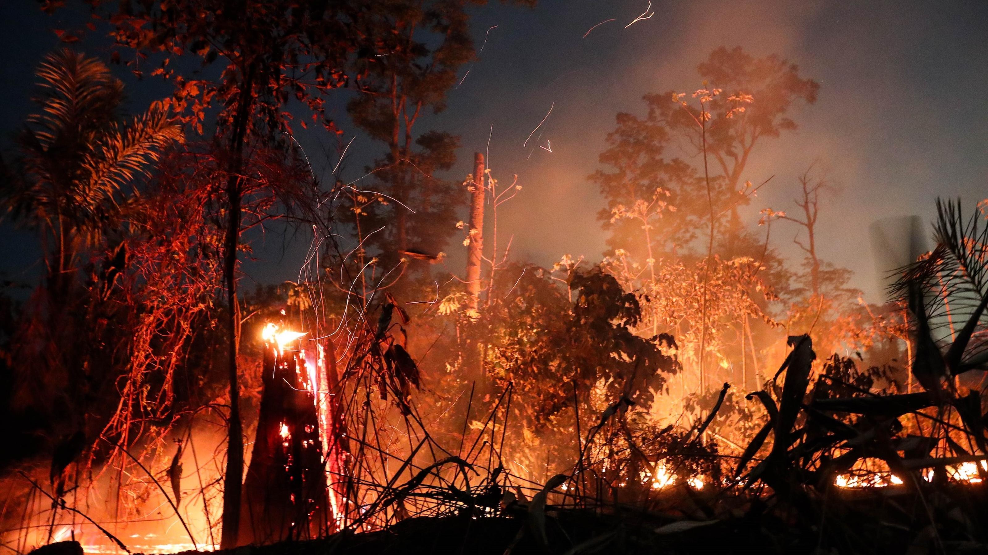 Ein Waldbrand bei Porto Velho, Brasilien.