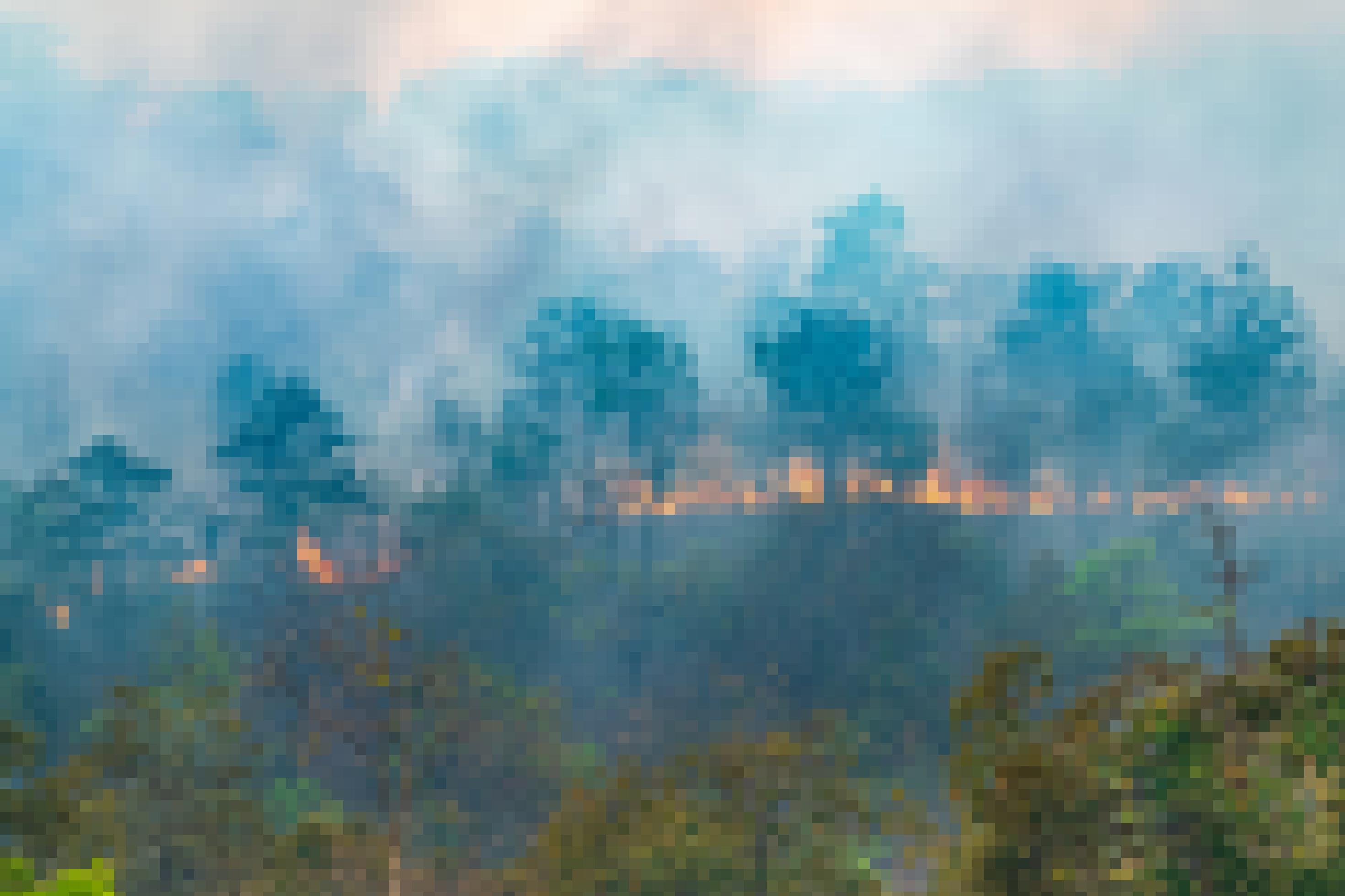 Das Foto zeigt einen Regenwald in Flammen: Vorne grüne Bäume, dahinter Silhouetten von Bäumen, eine breite Feuerfront und dicht aufsteigende Rauchschwaden.