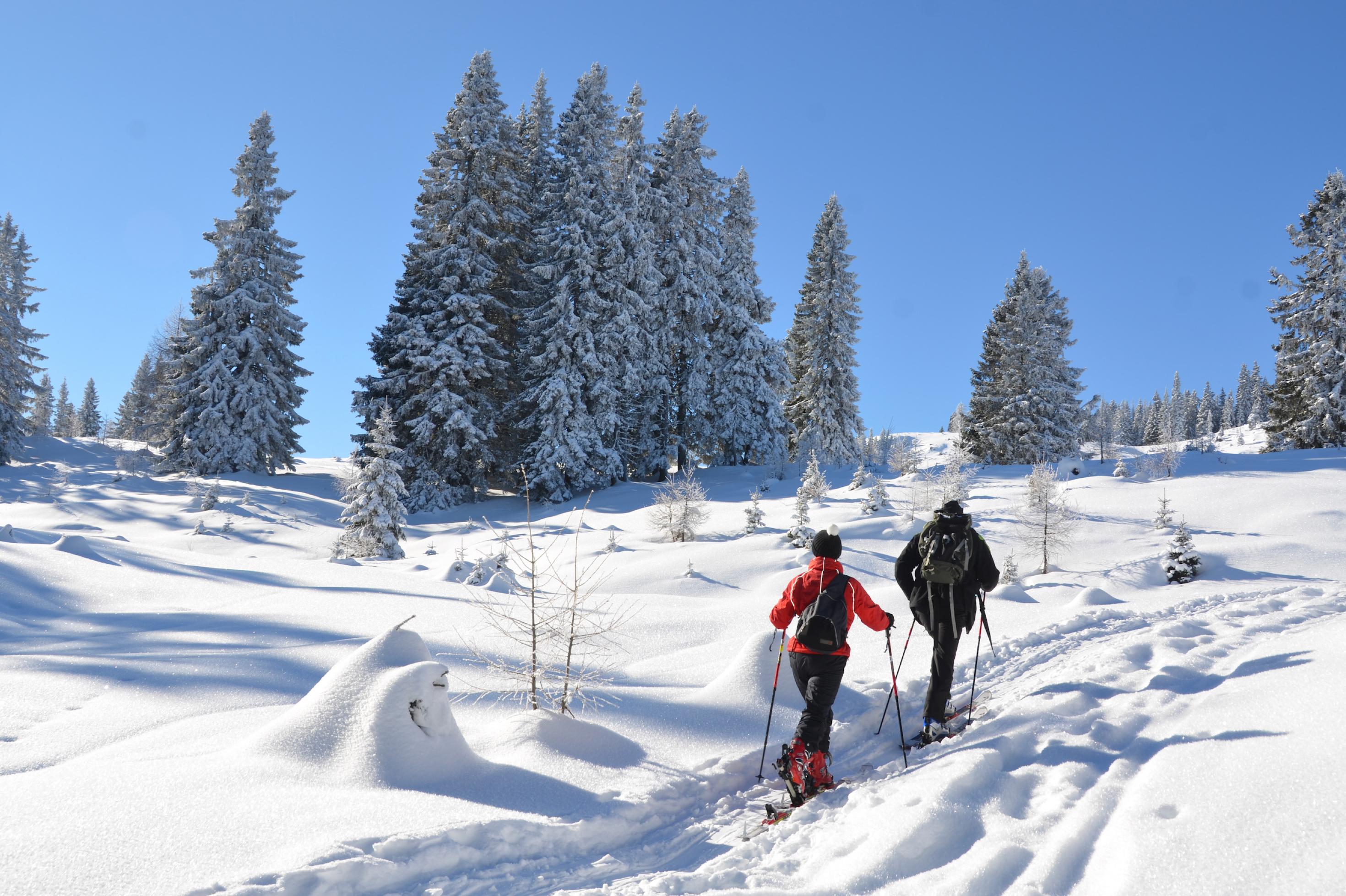 Skitour in Winterlandschaft am Berg