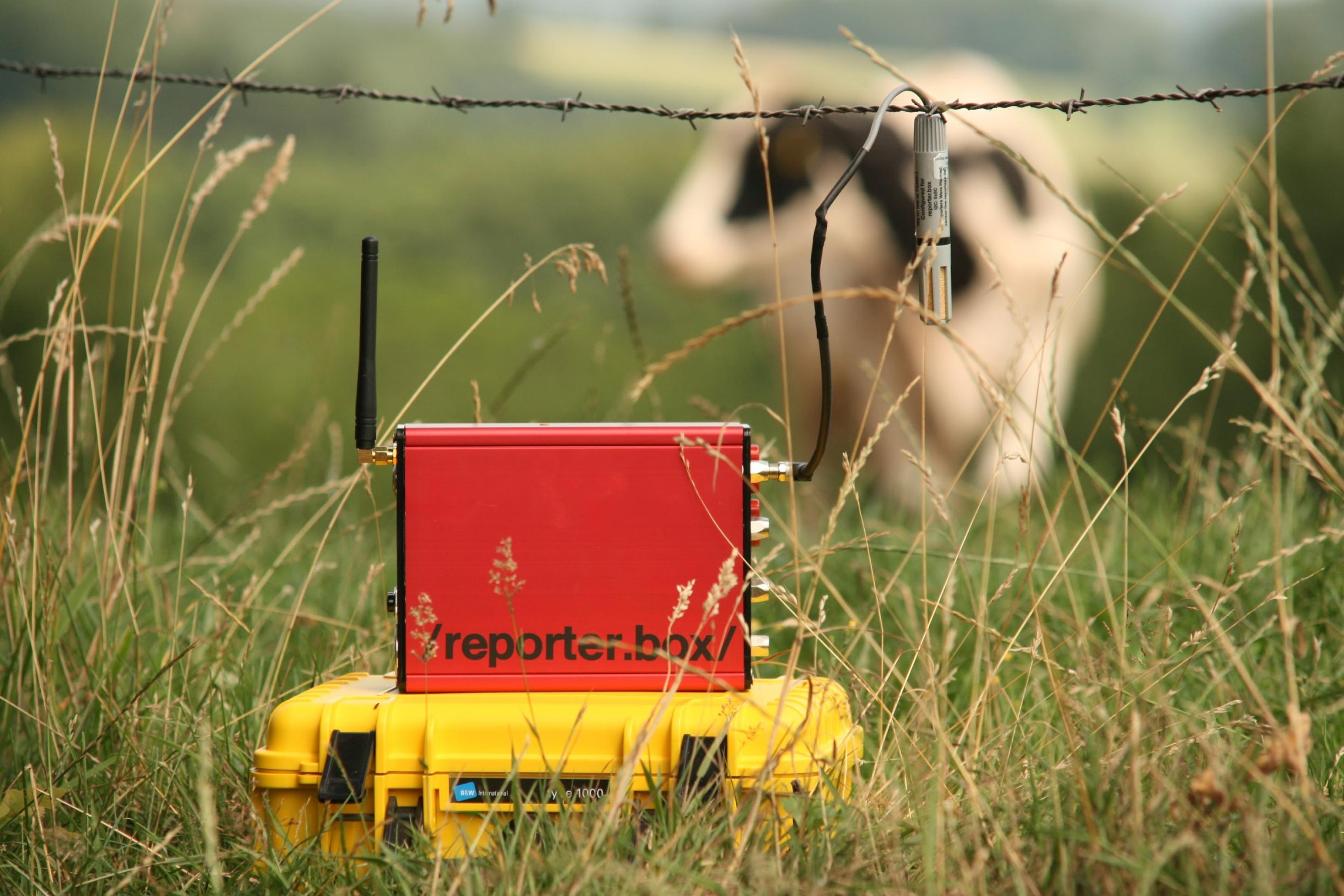 Reporterbox mit Sensoren vor Kuh