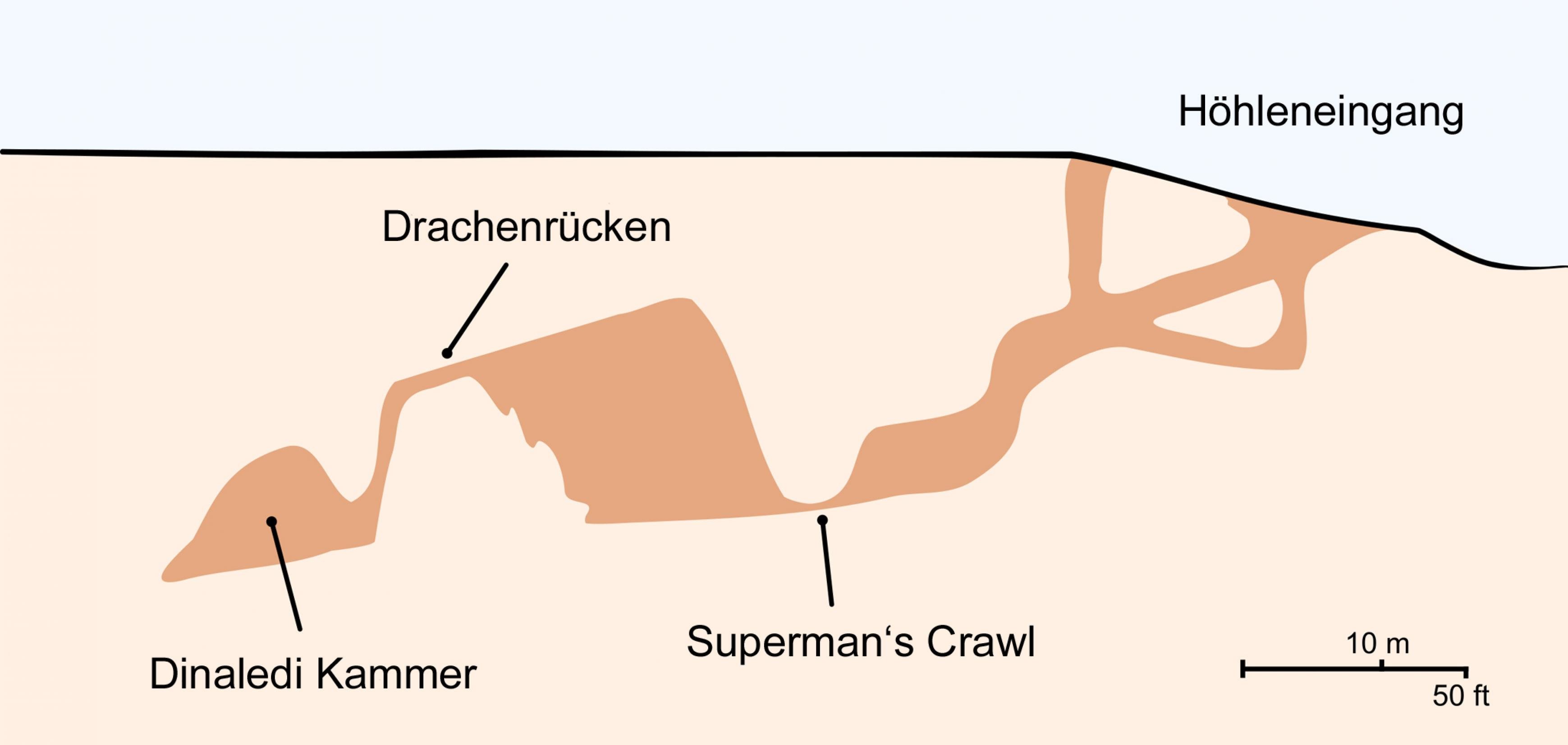 Die schematische Grafik zeigt vor beigem Hintergrund die braun gezeichneten Gänge einer Höhle. Rechts ist der Eingang zu sehen, dann führen nach links gewundene Gänge in die größeren Kammern.