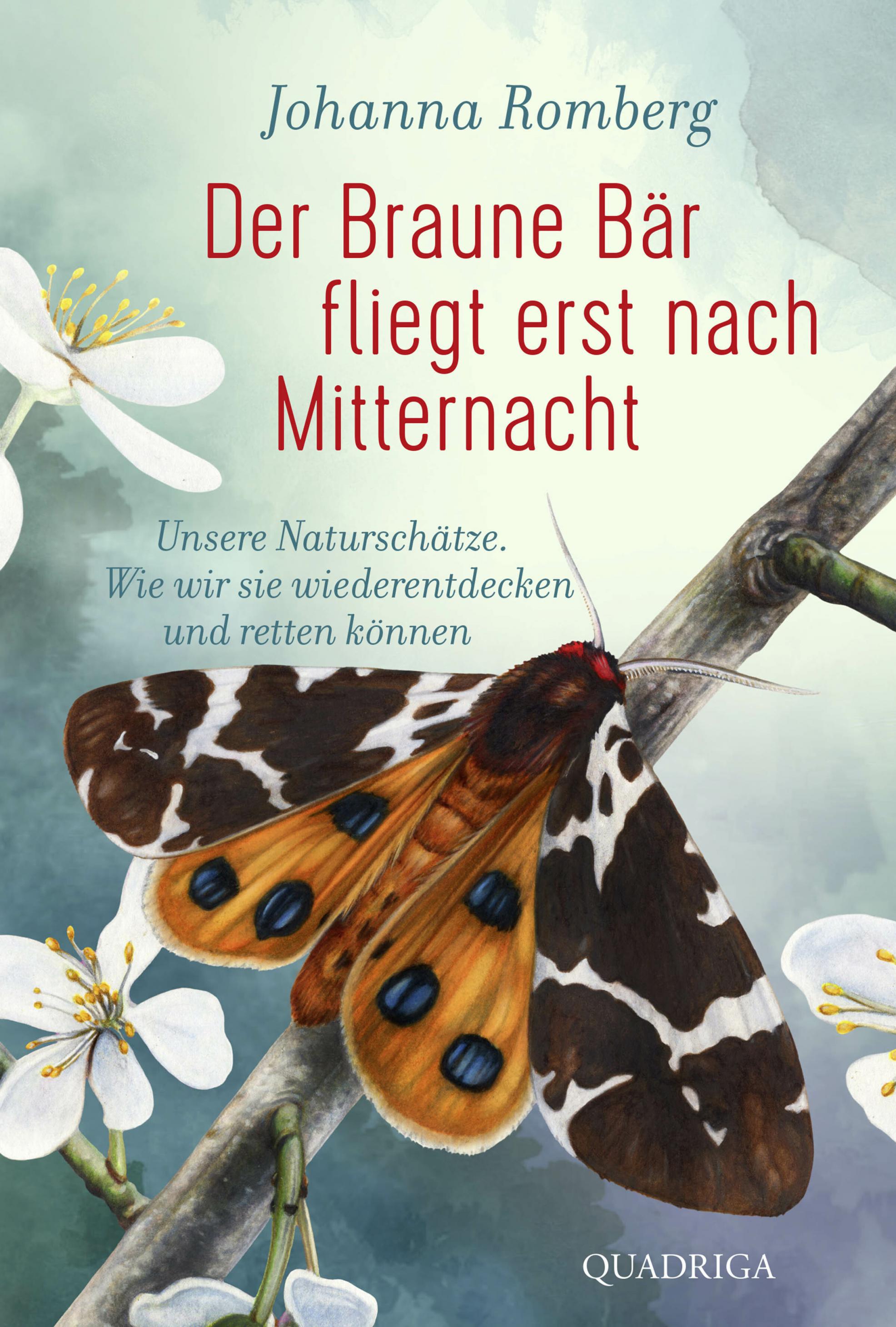 Buchcover „Der Braune Bär fliegt erst nach Mitternacht“ zeigt den gezeichneten Nachtfalter Brauner Bär.