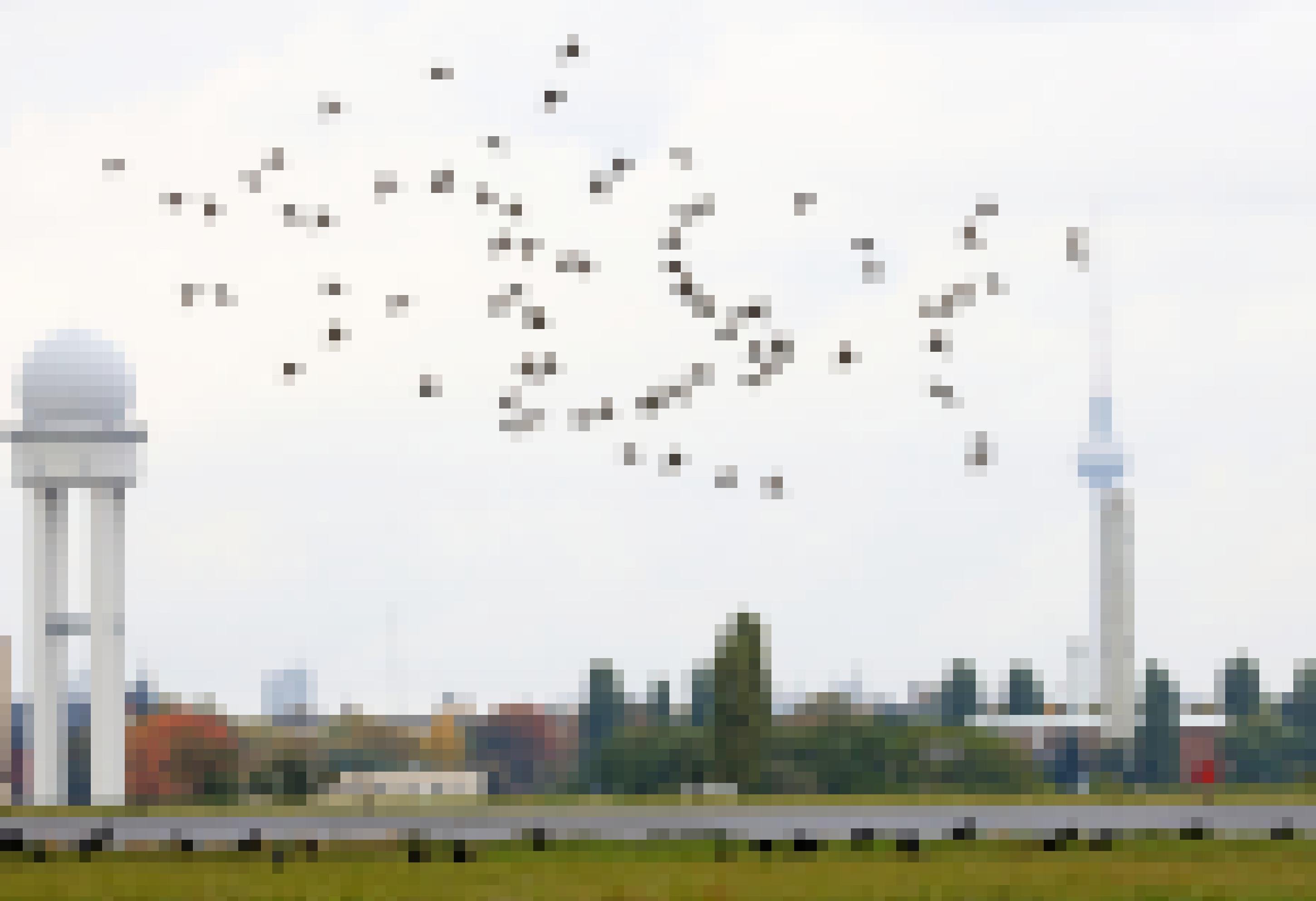 Eine Gruppe Saatkrähen fliegt vor dem Hintergrund des Berliner Flughafens Tempelhof.