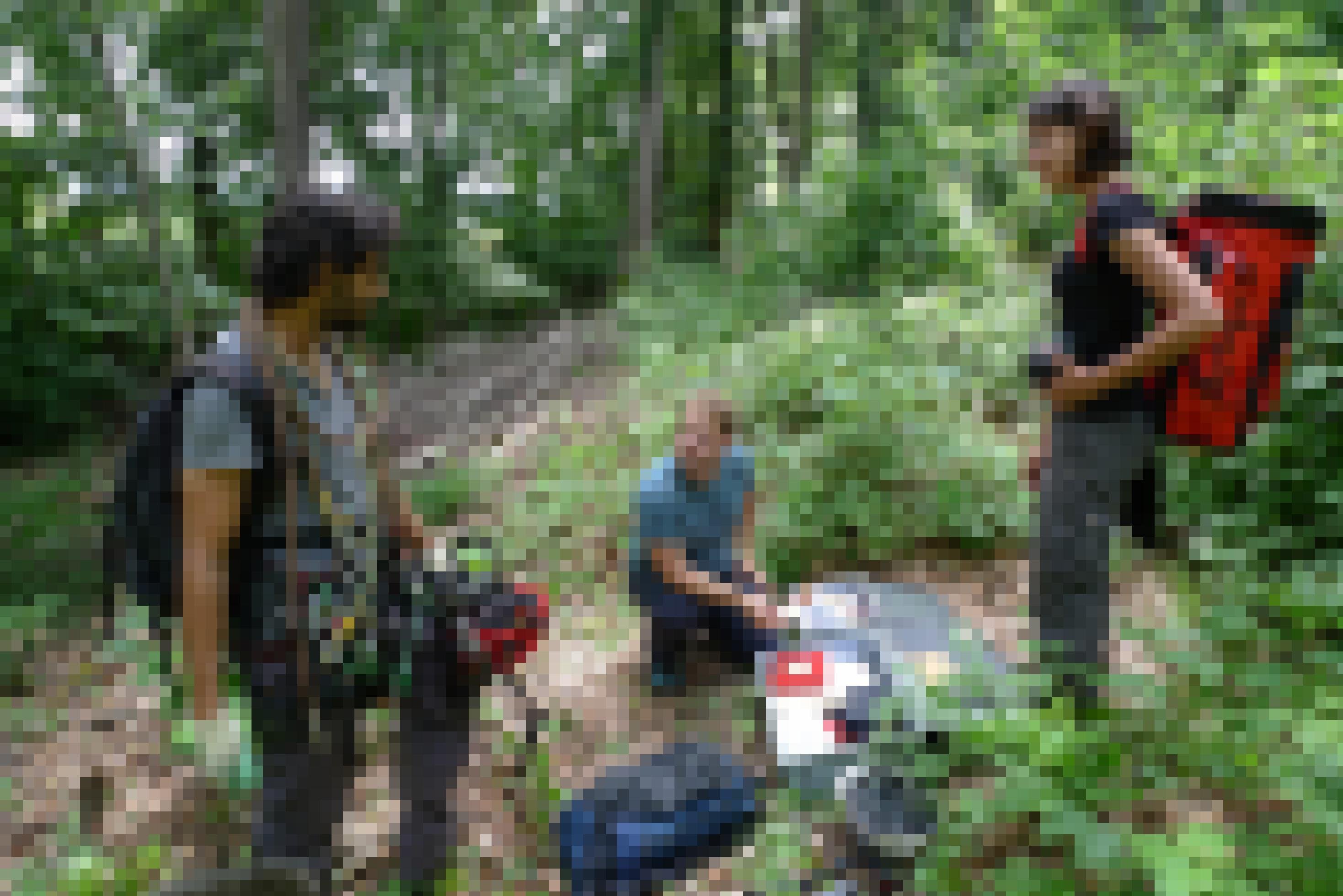 Valentijn van Bergen, Patrick Scherler und Lara Gross packen ihre Ausrüstung im Wald zusammen.