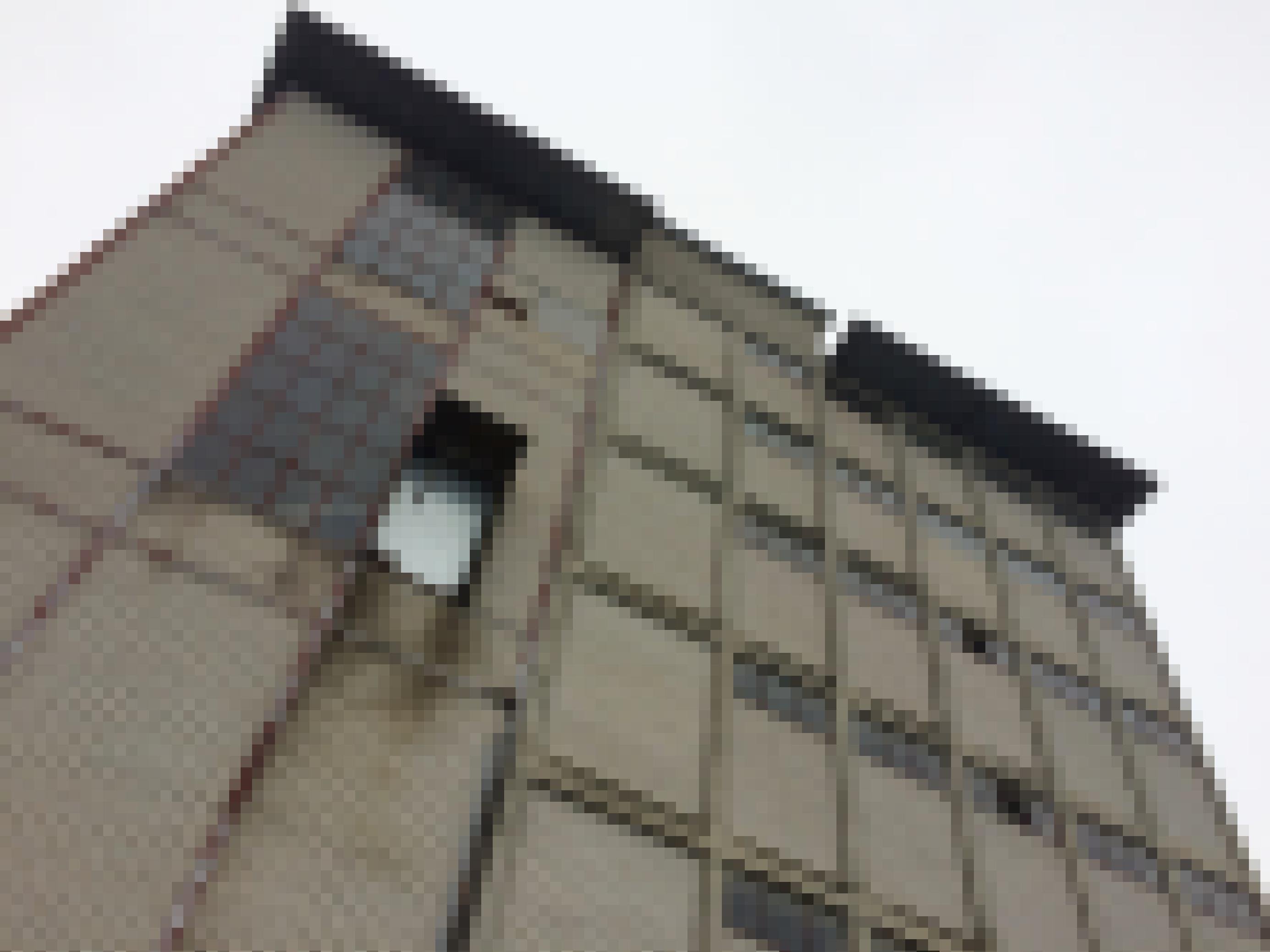 Ein graues, unverputztes Backsteingebäude beim Bahnhof in Saint-Ursanne, an dem immer wieder der Mauerläufer zu beobachten ist.