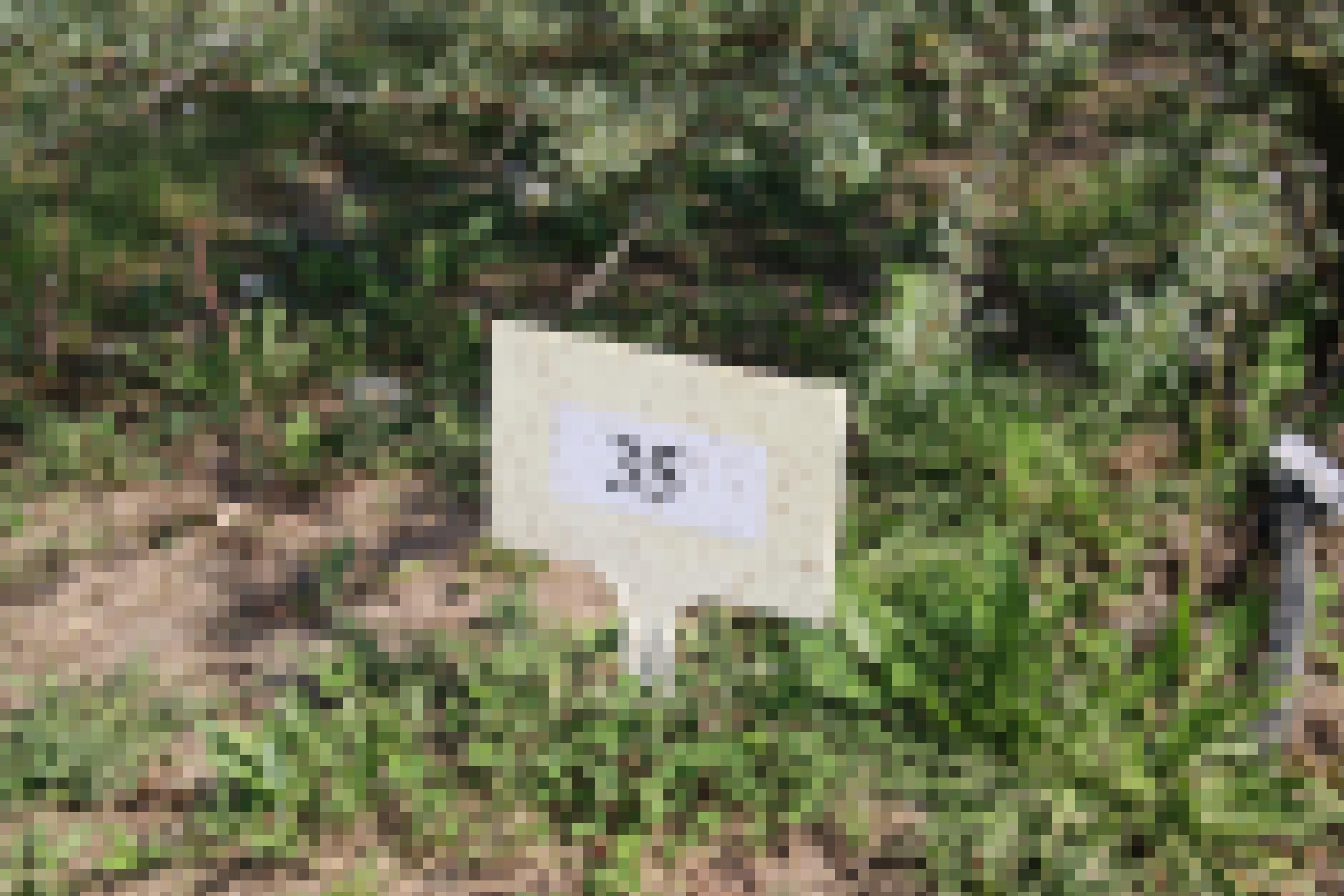 Ein Plastikschild mit der Nummer 35 steckt im Boden