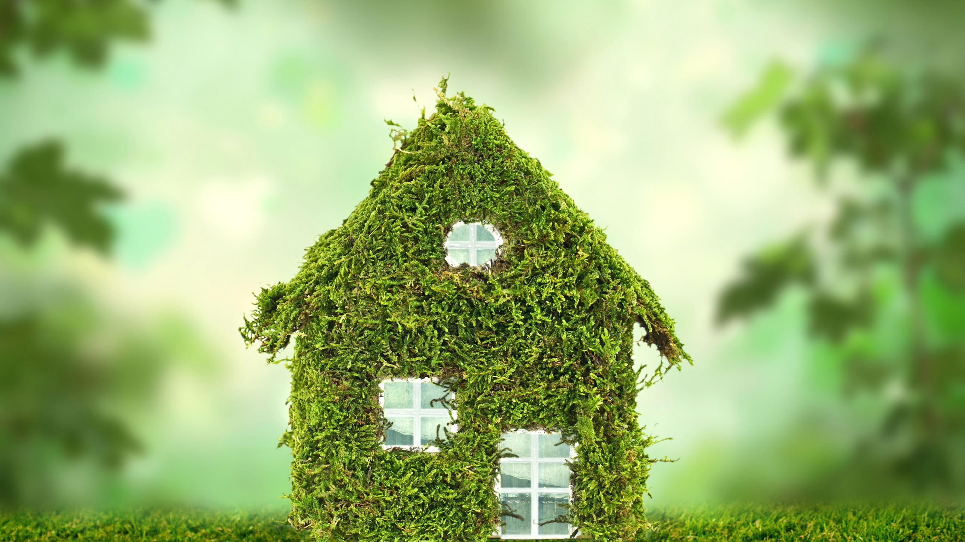 Schematische Darstellung eines archetypischen kleinen Einfamilienhauses, die Fassade ist vollständig mit Grünpflanzen bedeckt