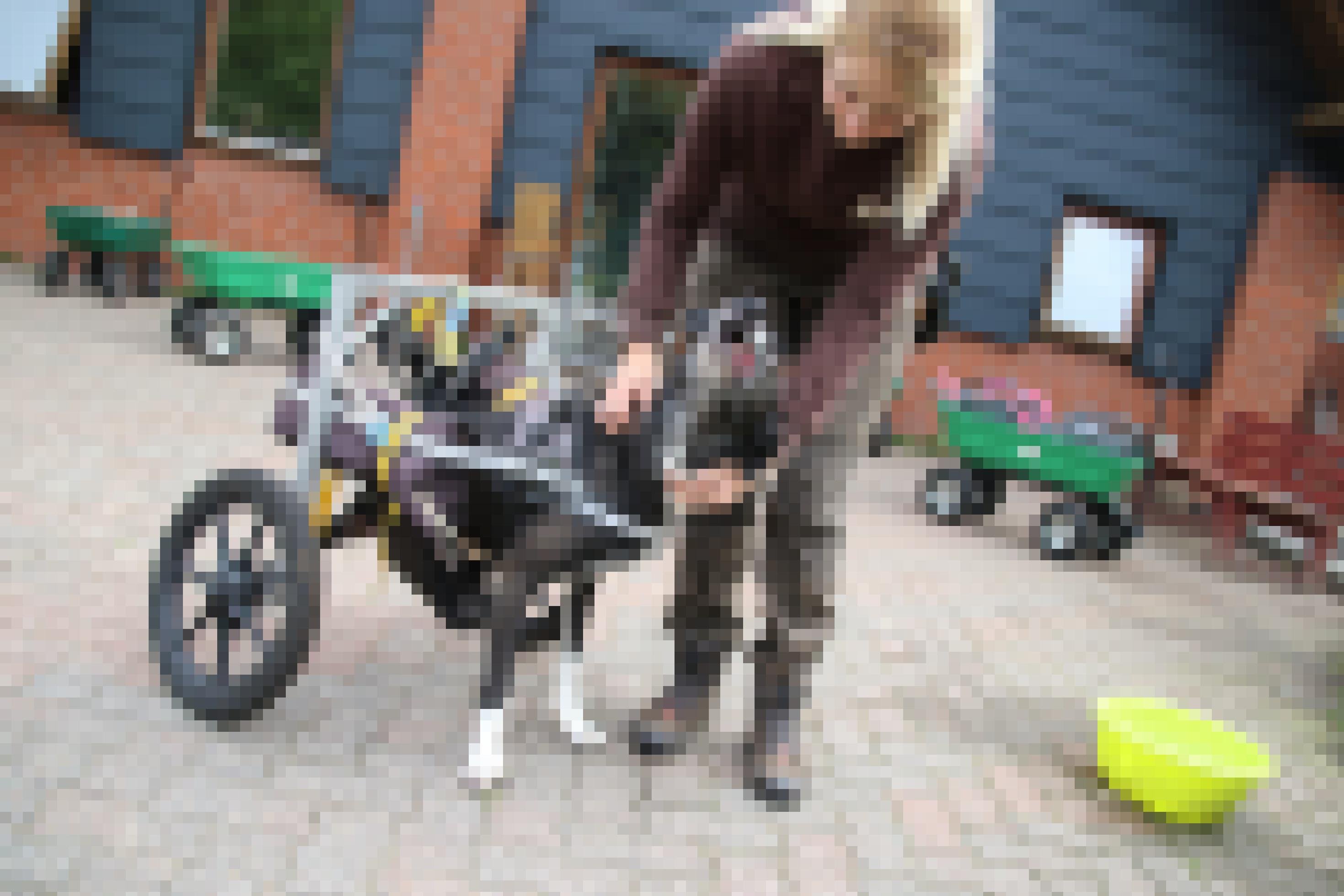 Blonde Frau krault Rollstuhlhund am Hals.