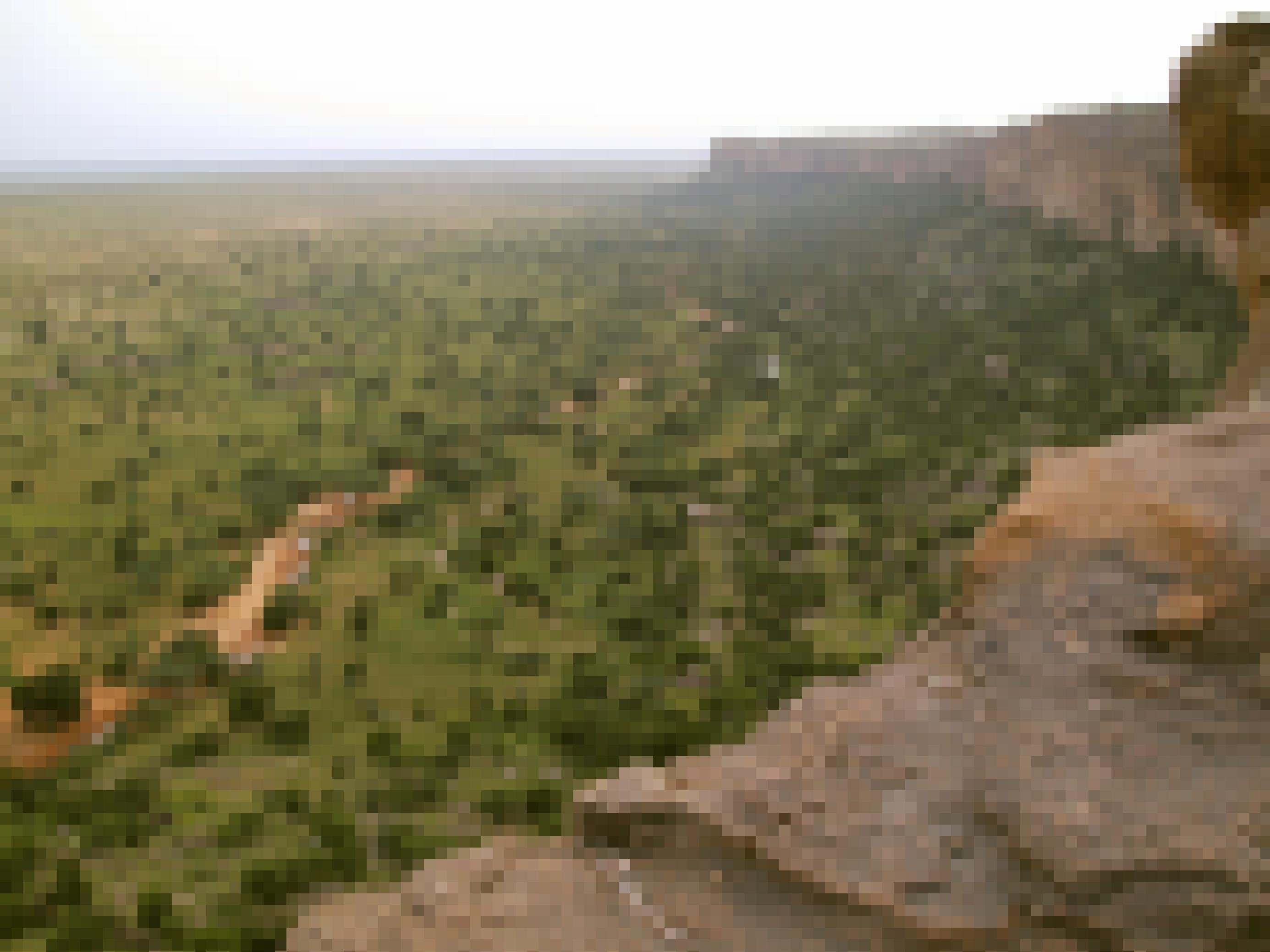 Das Foto wurde von einem bräunlichen Felsmassiv aus aufgenommen, vor dem links in der Tiefe eine Savannenlandschaft aus Gras und Bäumen liegt, durch die sich ein kleiner Fluss schlängelt. In einer solchen Landschaft lebten einst Vormenschen, die schon auf zwei Beinen liefen. Forscher glauben heute allerdings nicht, dass der aufrechte Gang sich in der offenen Landschaft entwickelt hat.