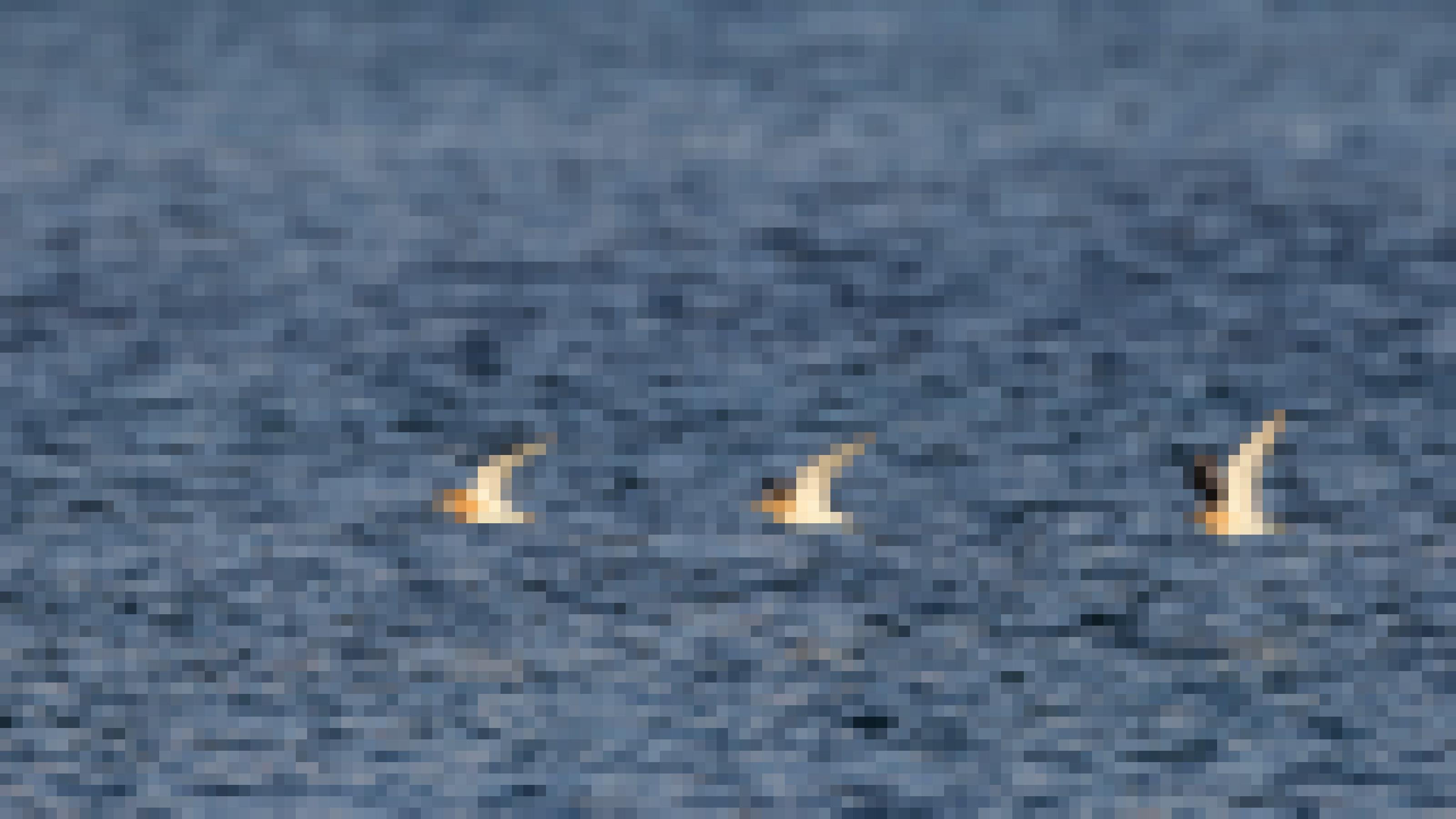Eine Gruppe aus vier Wüstenregenpfeifern fliegt niedrig über das Meer