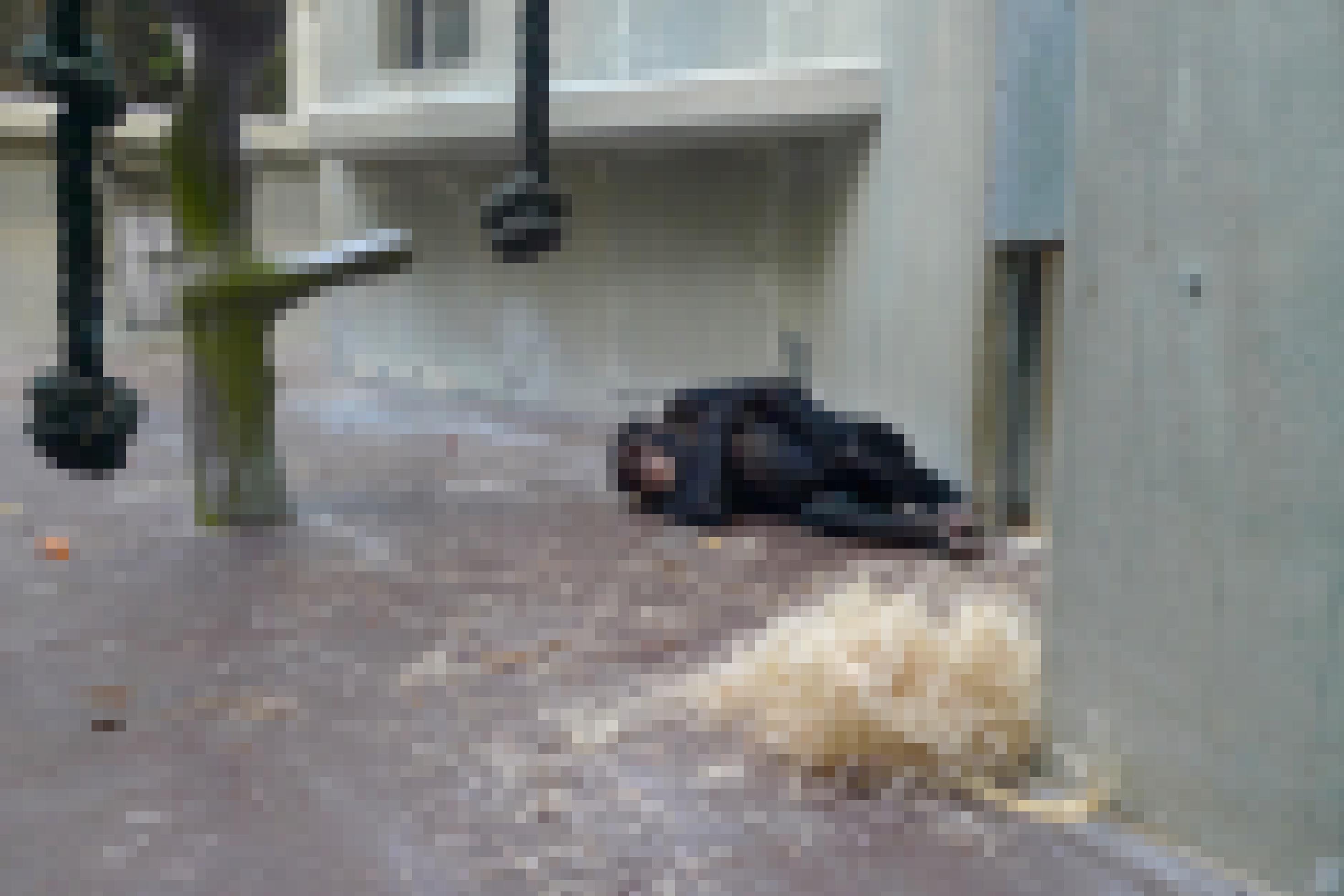 Ein Schimpanse liegt im Affengehege des Basler Zoos am Boden.