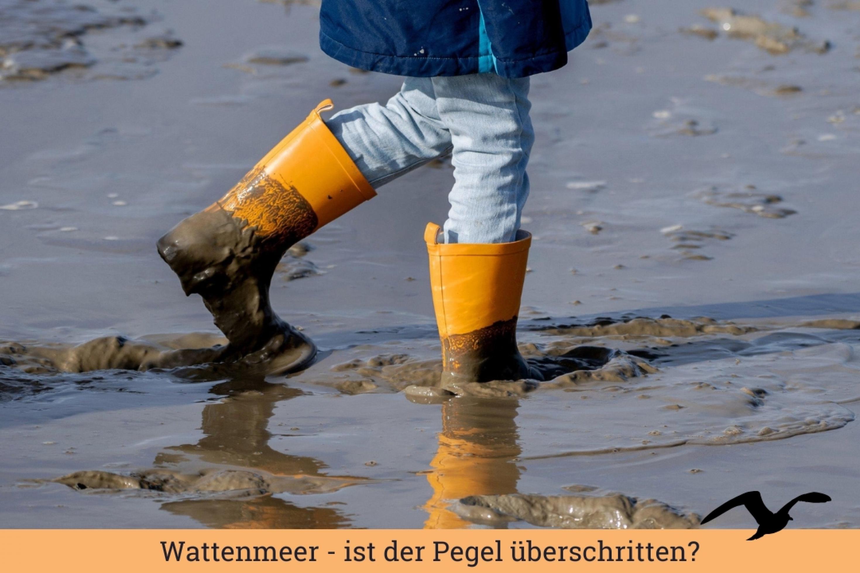 Ein Kind, von dem nur die Beine zu sehen sind, läuft in gelben Gummistiefeln über den Wattboden und ist mit einem Fuß ein bisschen eingesunken.