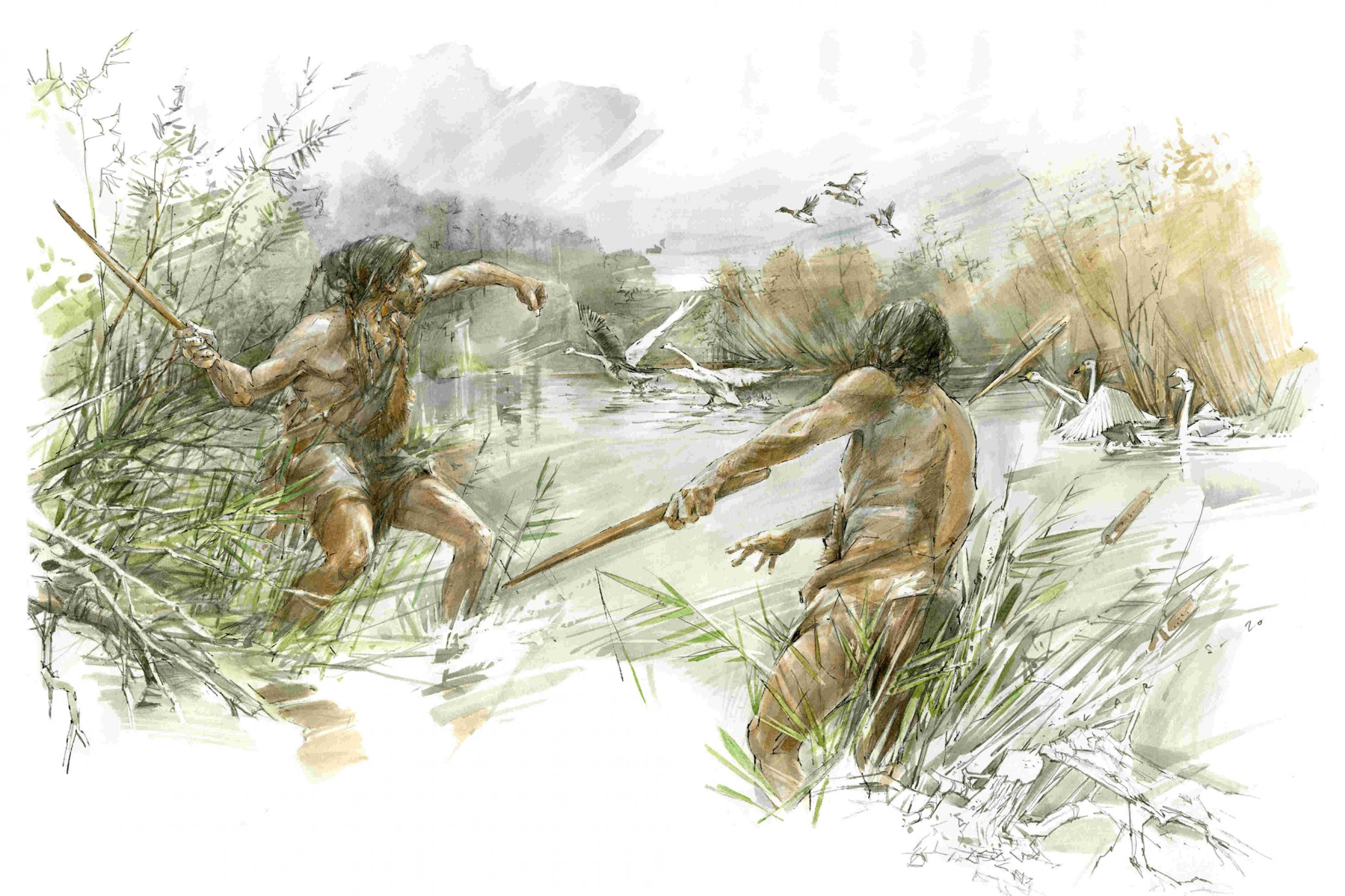 Die Zeichnung zeigt zwei nur leicht bekleidete Urzeit-Jäger am Ufer eines Sees vor 300.000 Jahren, die Wurfstöcke auf Schwäne schleudern. Die an beiden Enden zugespitzten Hölzer drehen sich in der Luft, fliegen schnell über viele Meter Distanz und können Wasservögel tödlich verletzen.