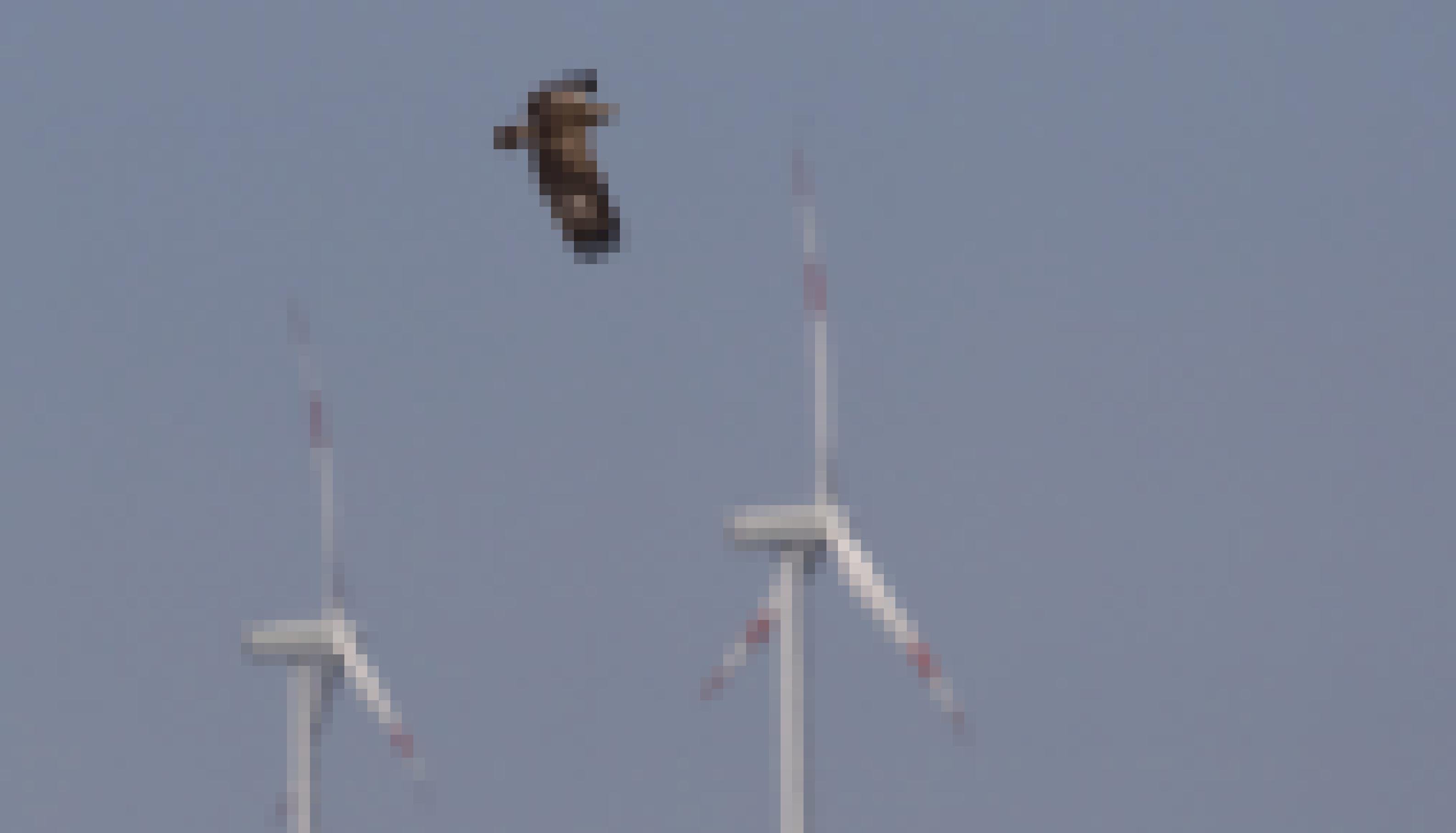 ein Vogel, der in der Luft fliegt, mit Windturbinen im Hintergrund [AI]